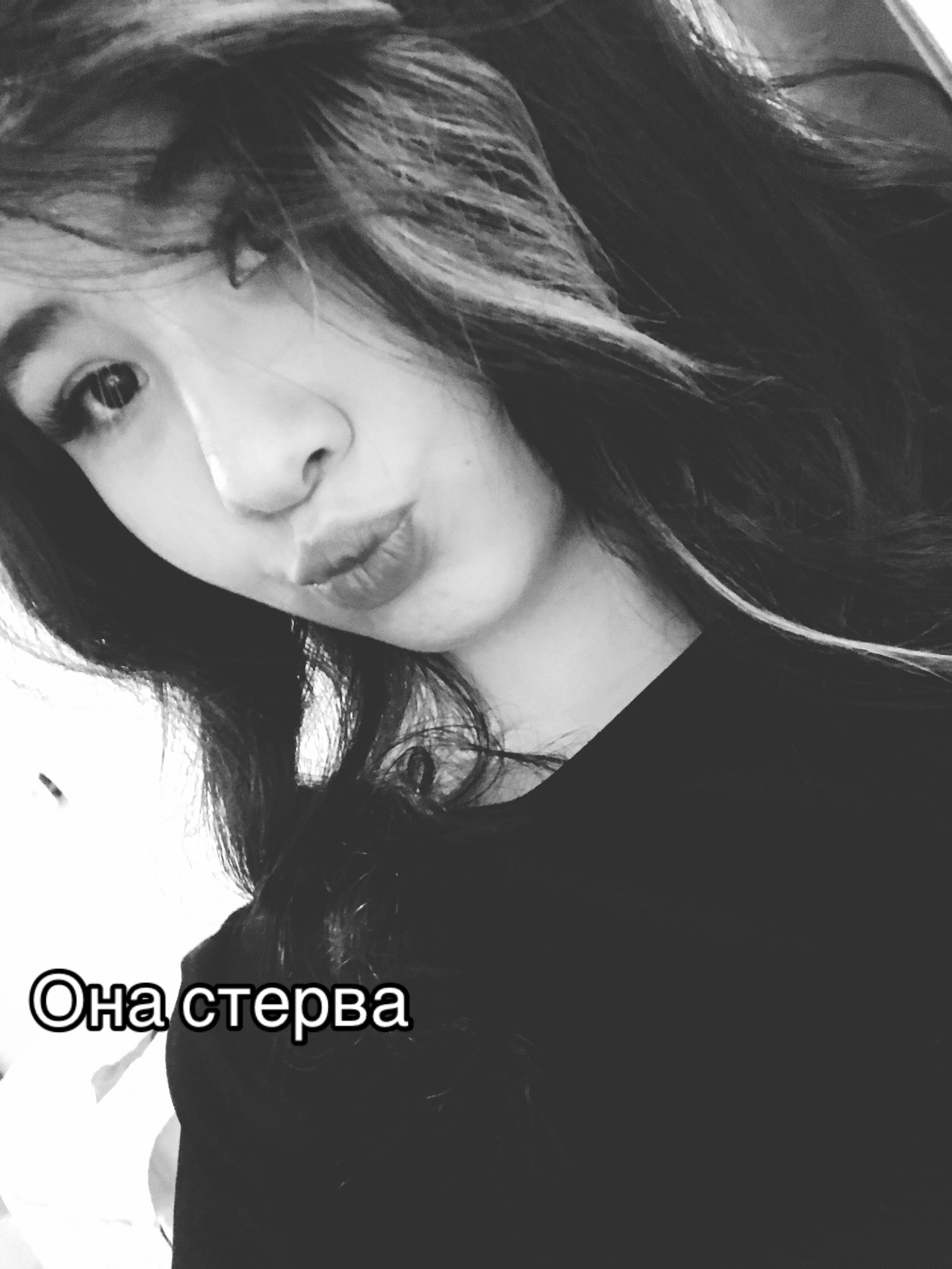 @🕊