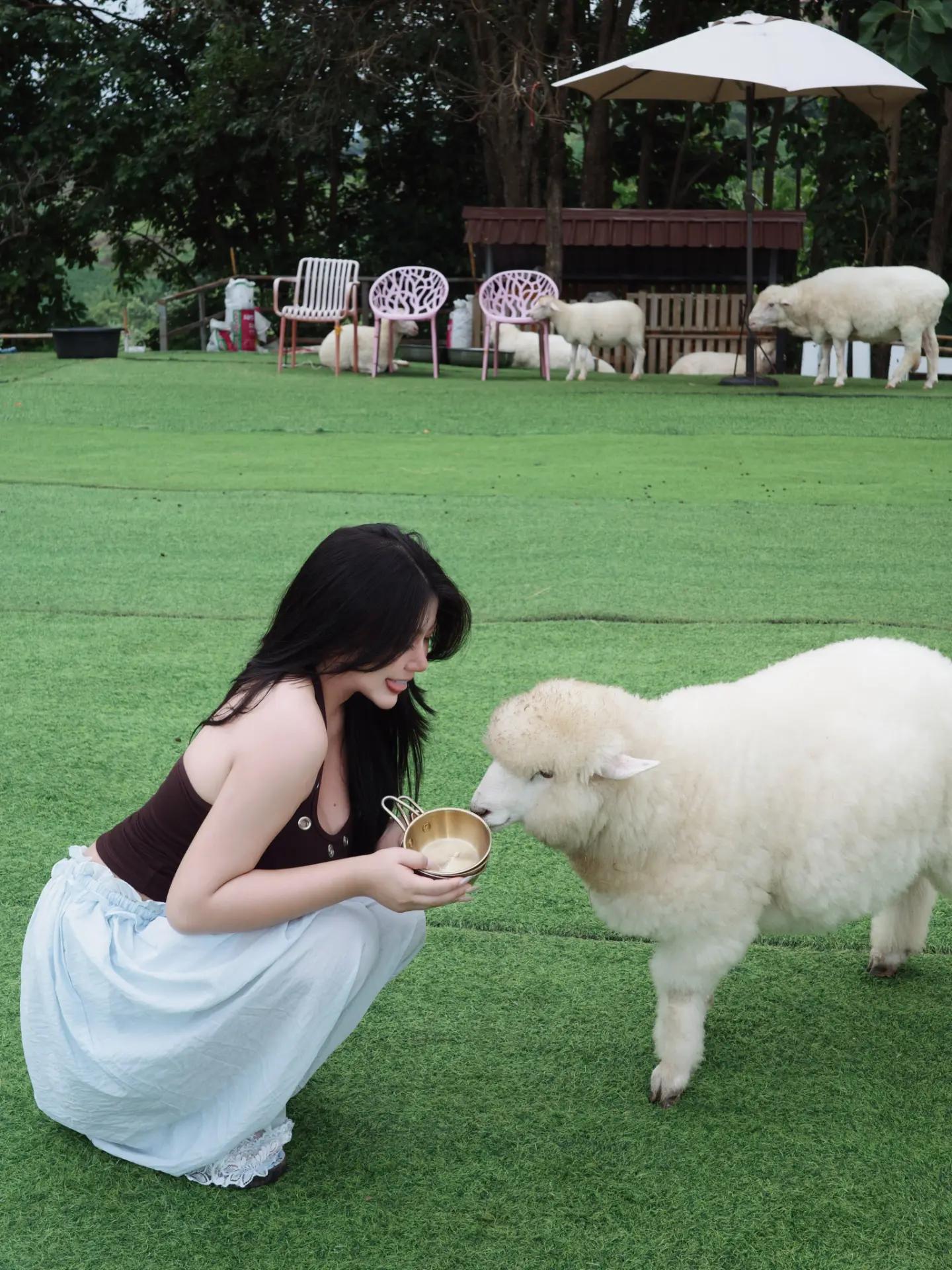 @Veraaa ๐ฆ