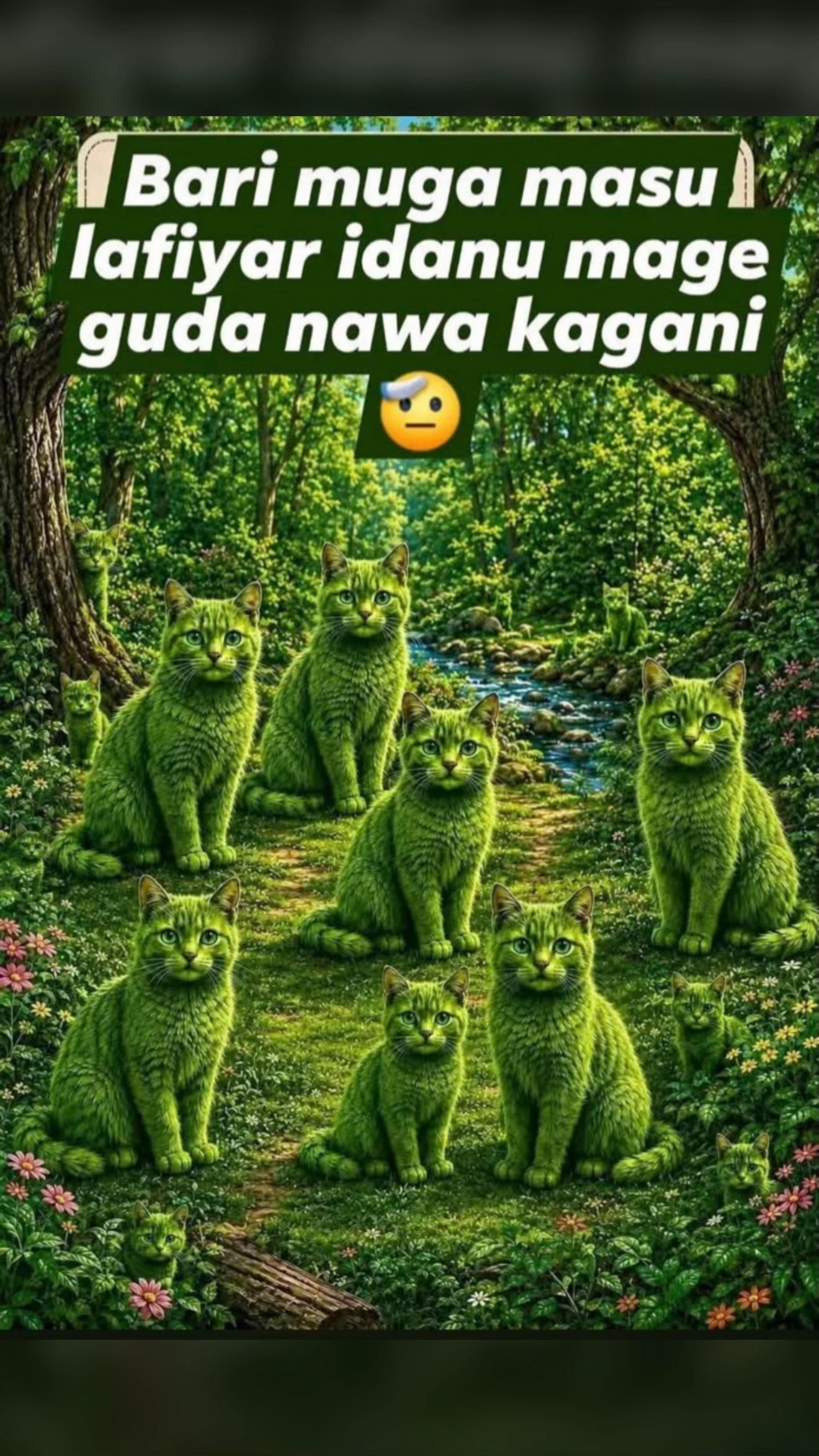 @Sadiq Dan Baiwa 2