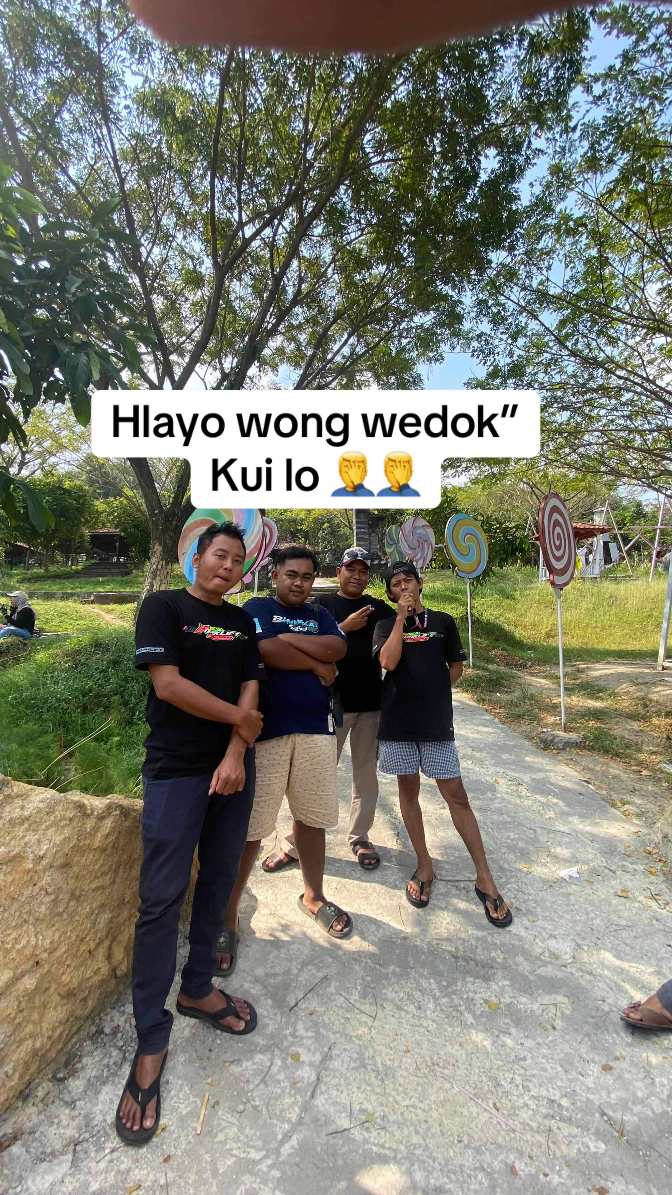 @Hachi🐉