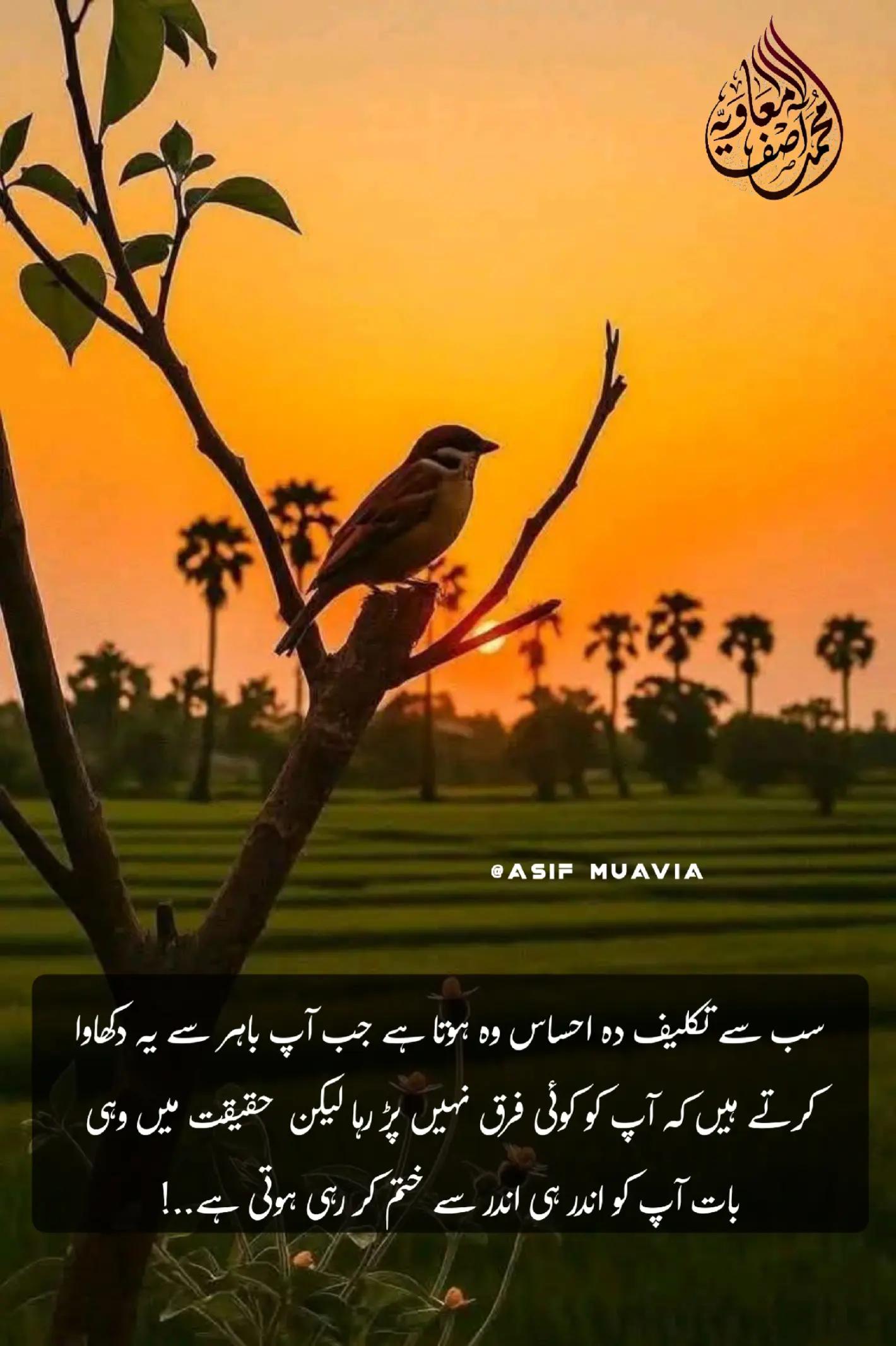 @Asif Muavia