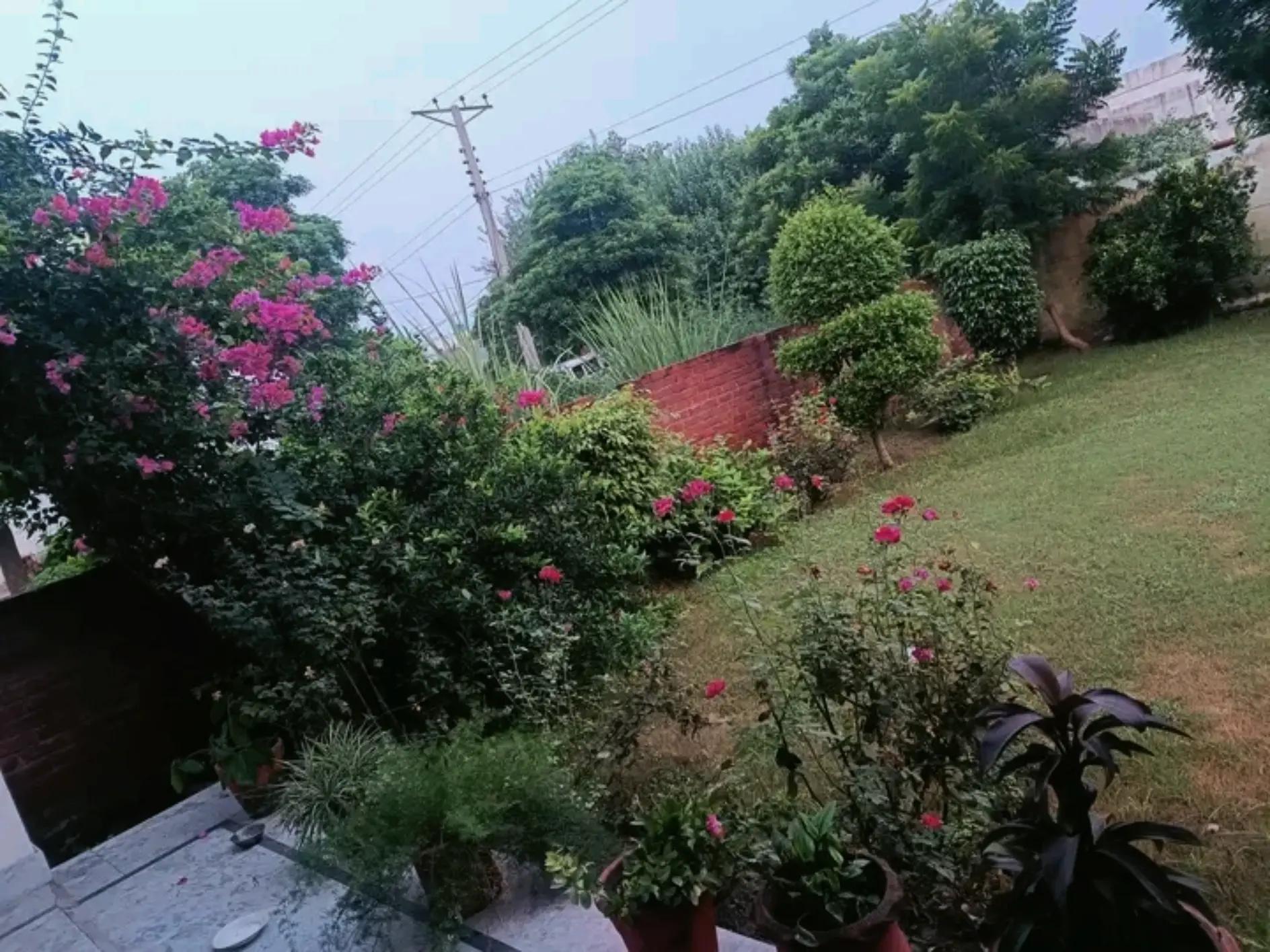 @Minaal khattak