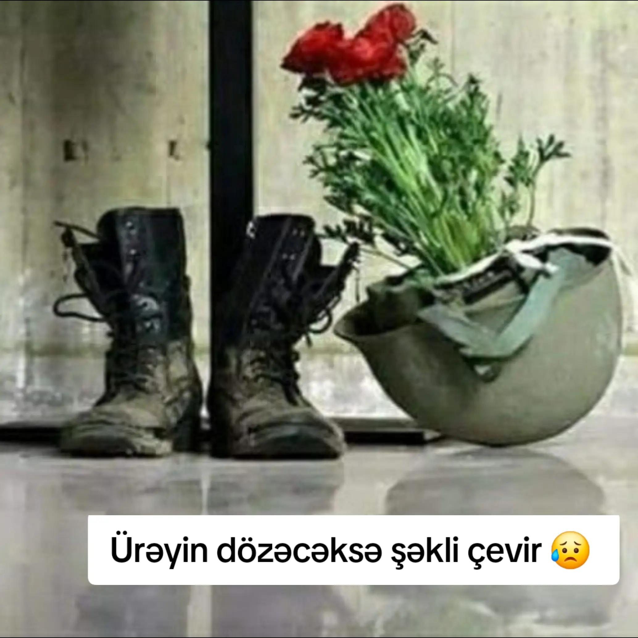 @⚔️_✺νєтєηqιʑι✺_🇦🇿