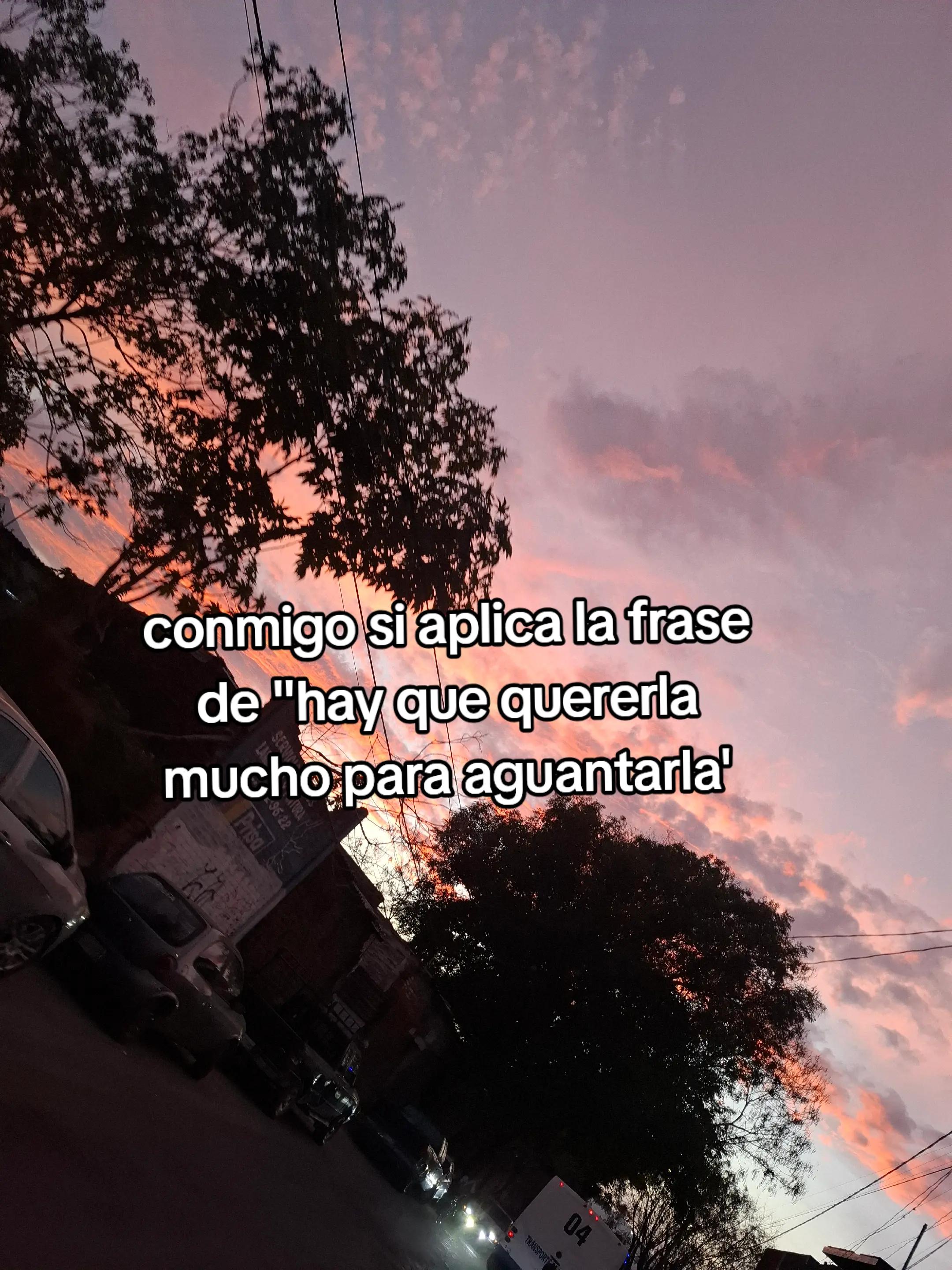 @Fernanda meza