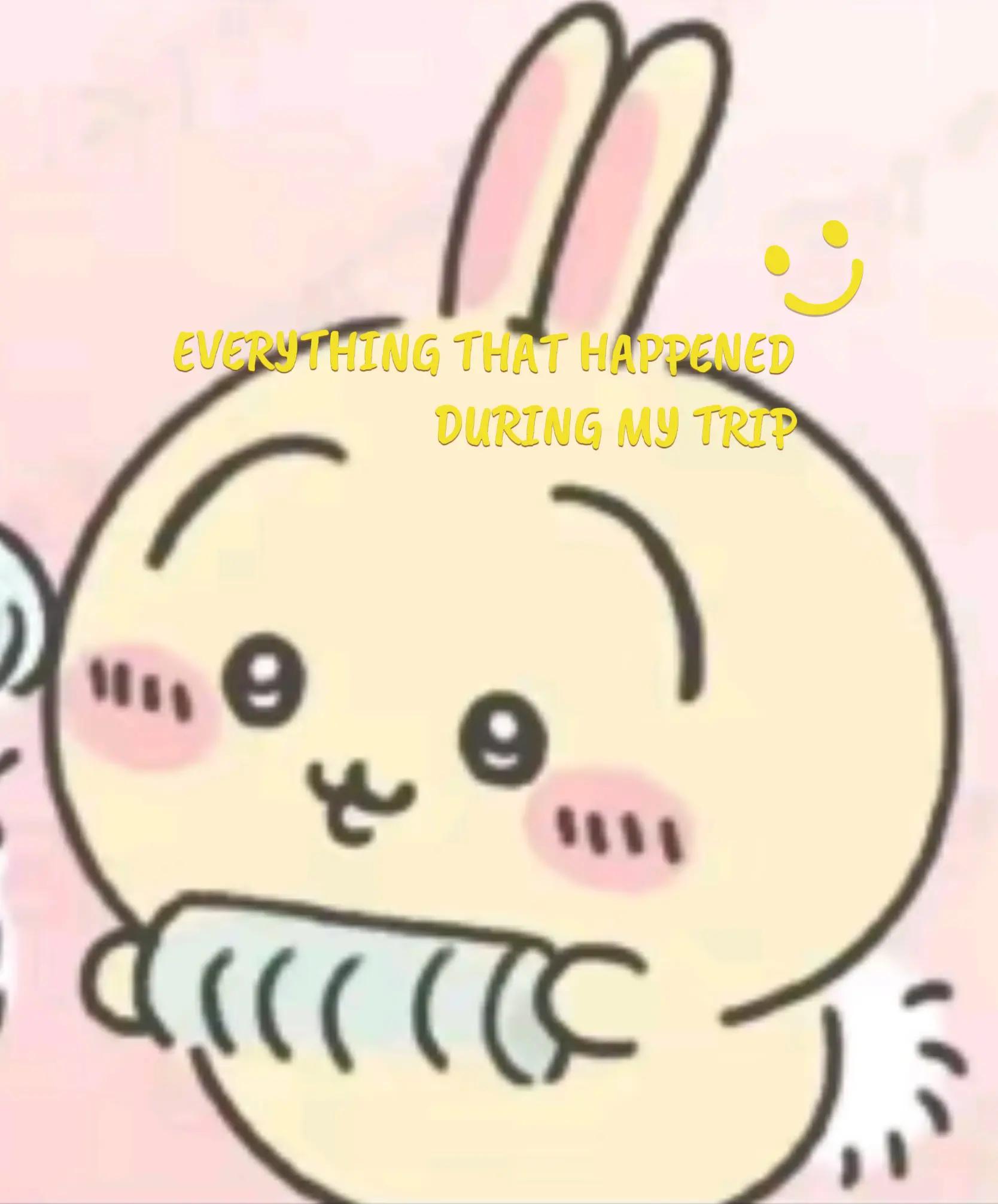 @💛🍳~ υѕαgι ~🍳💛