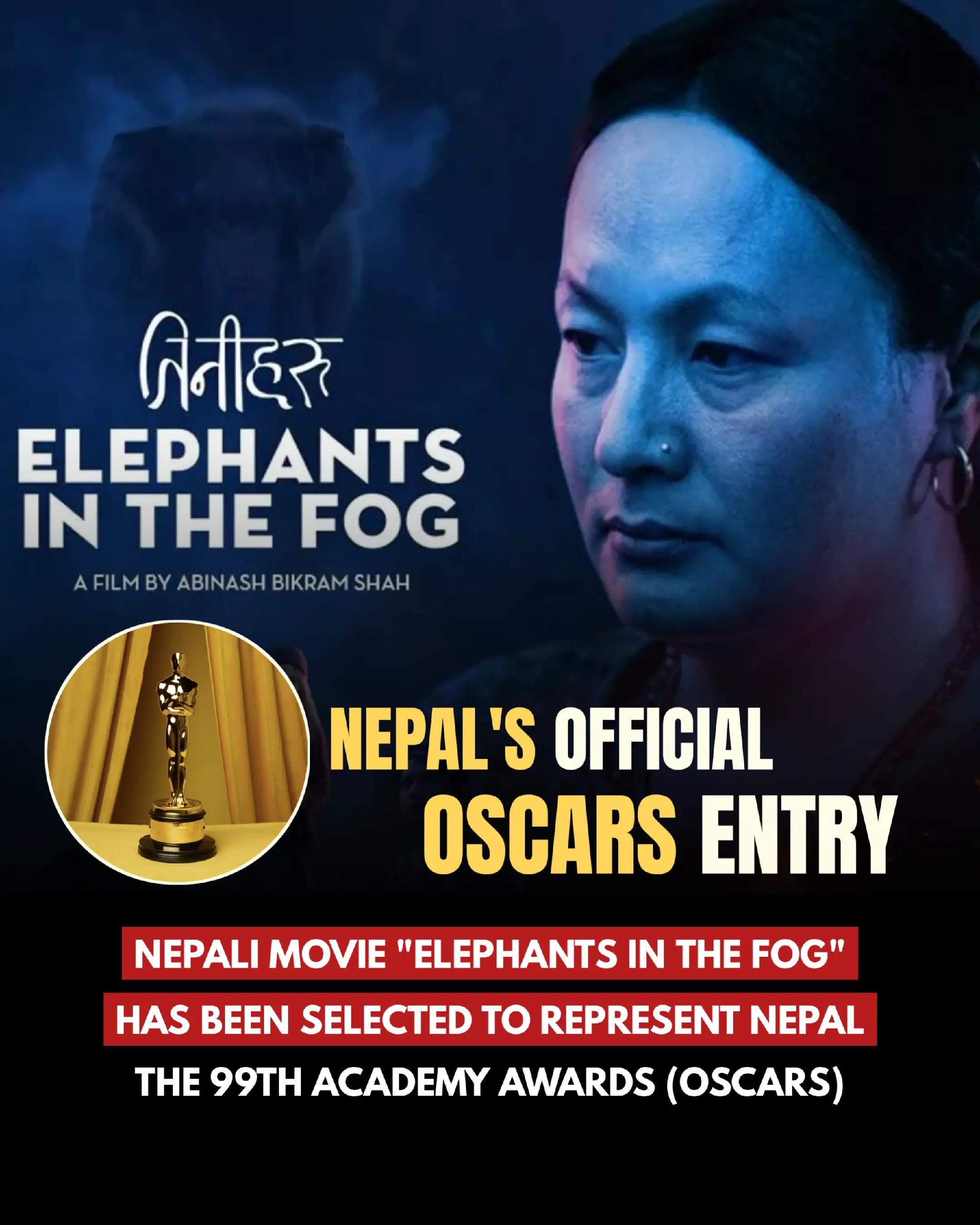 @Digital Nepal
