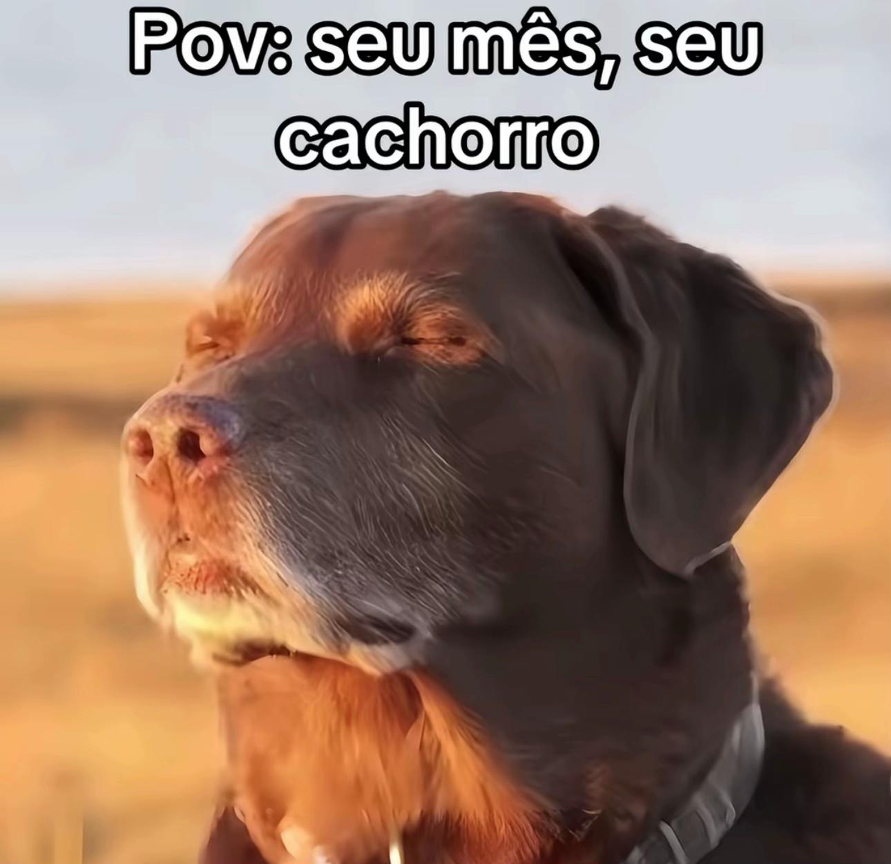 @Historias.IA
