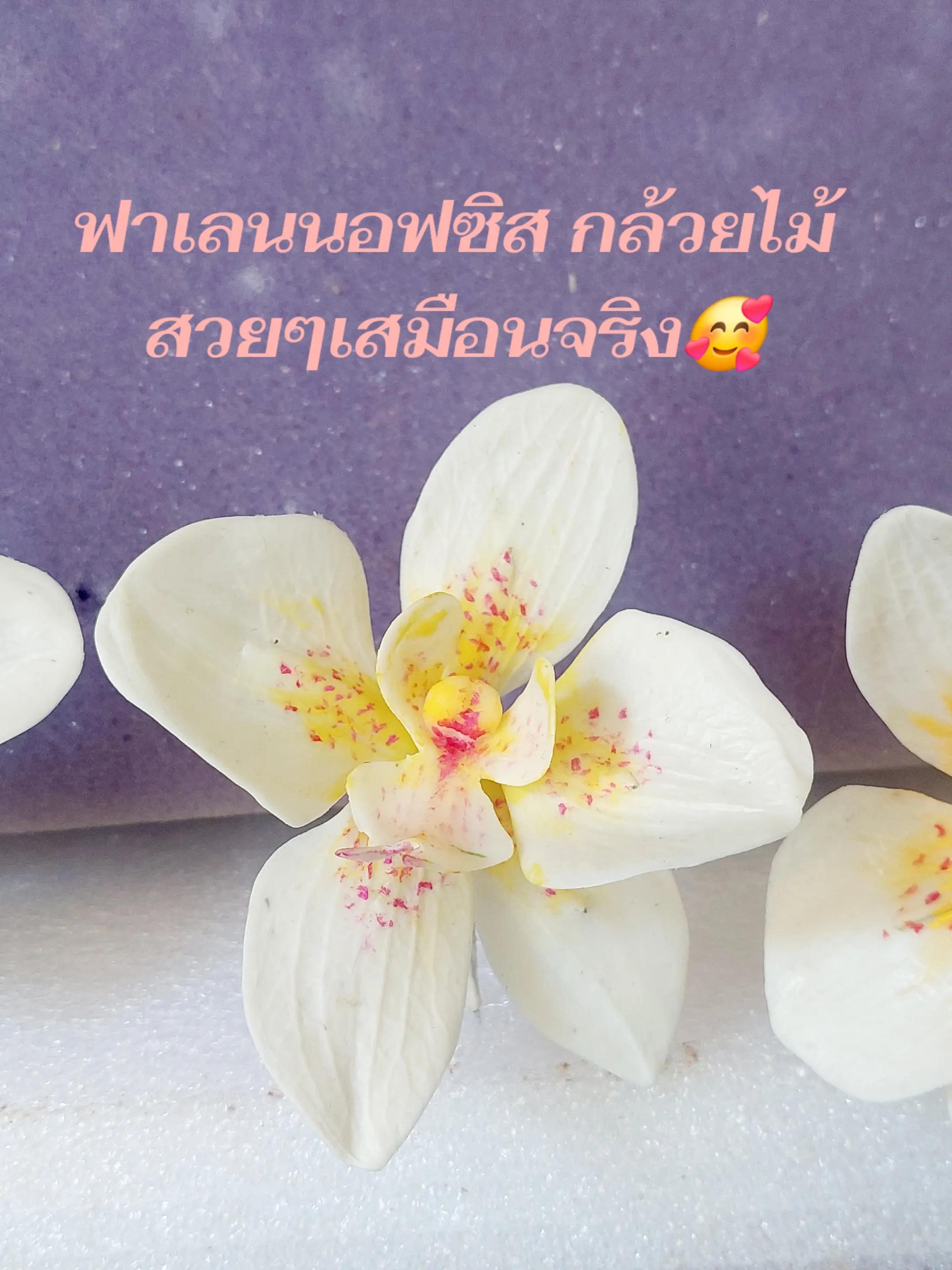 @Arthitayar-นุ่น🥰🥰