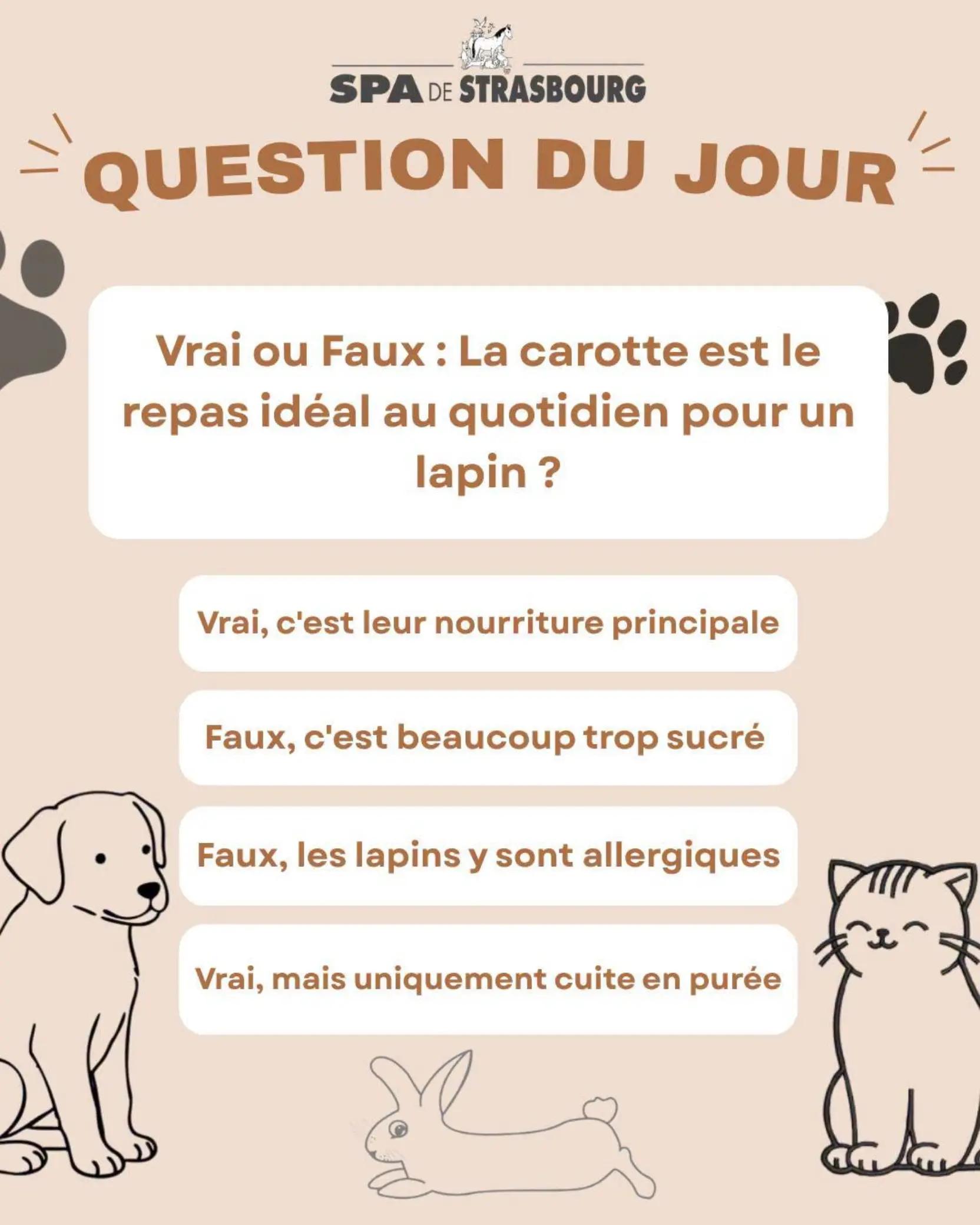 @spa_strasbourg