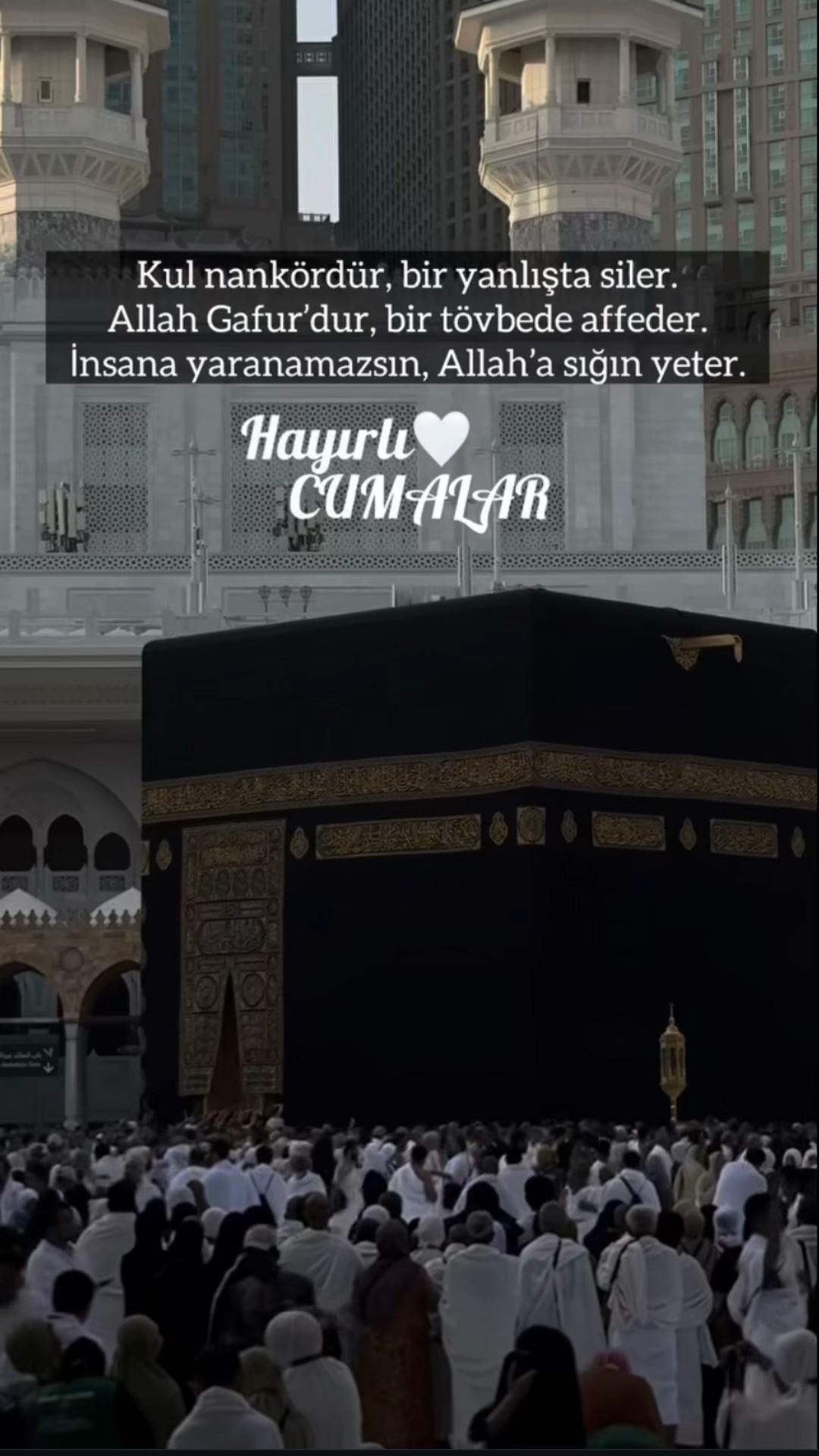 @ravzanur740