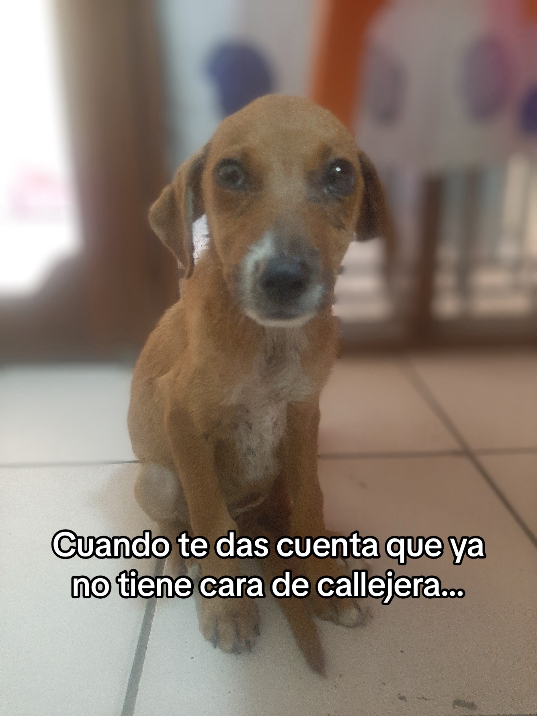 @Fabiana Terrazas Su&aacute;rez