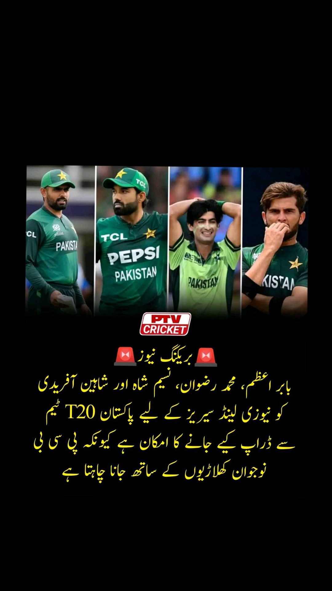 @🏏 Cricket World 🏏