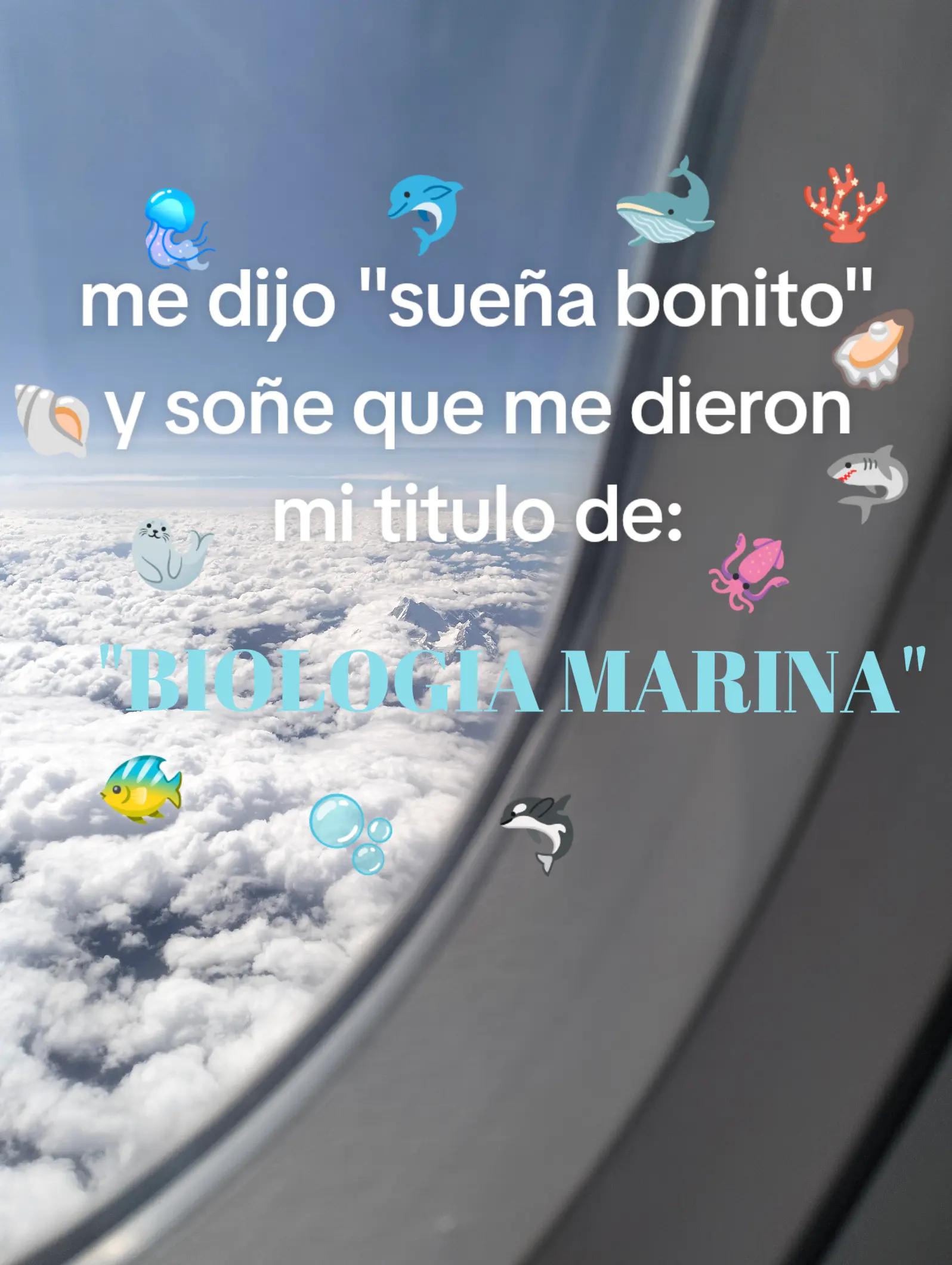 @~★Driki★~