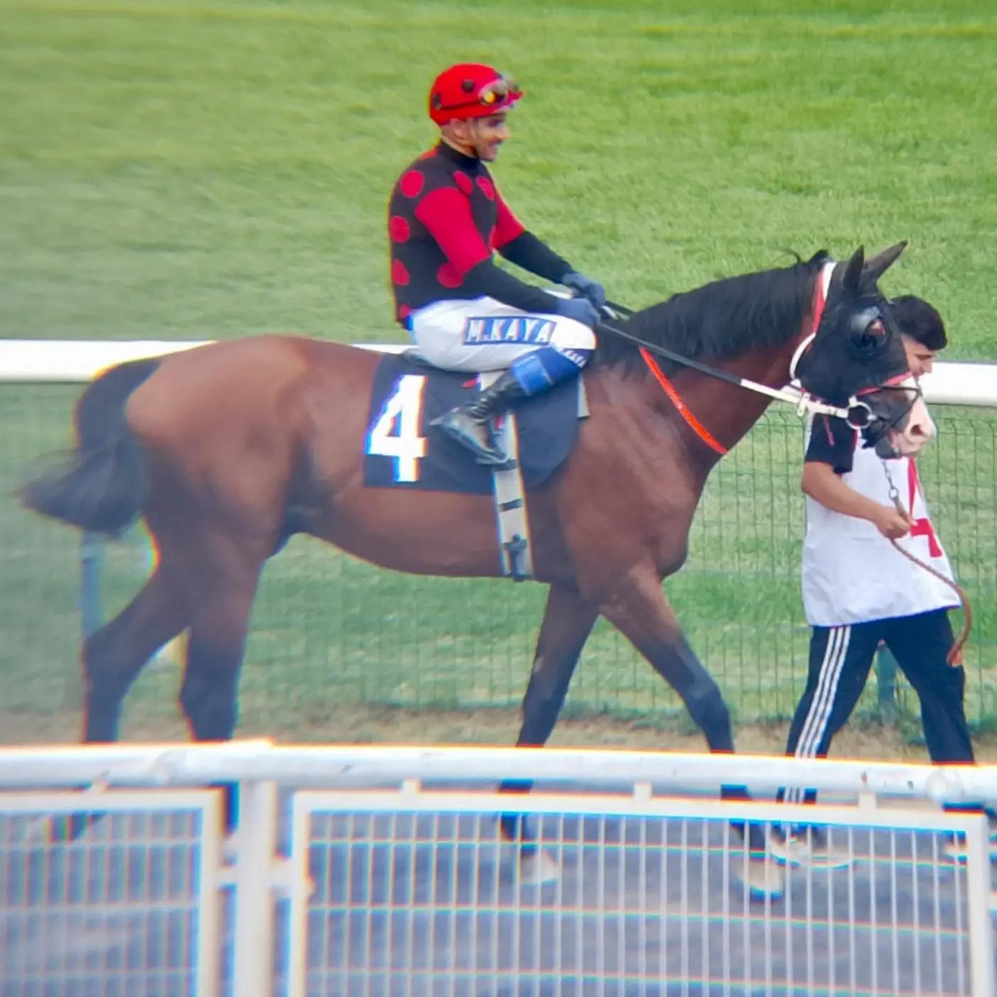 @brs horse racing