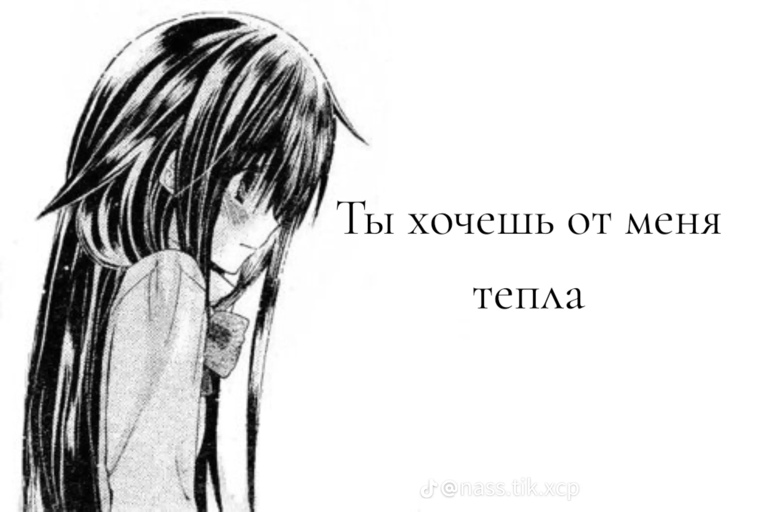@кот