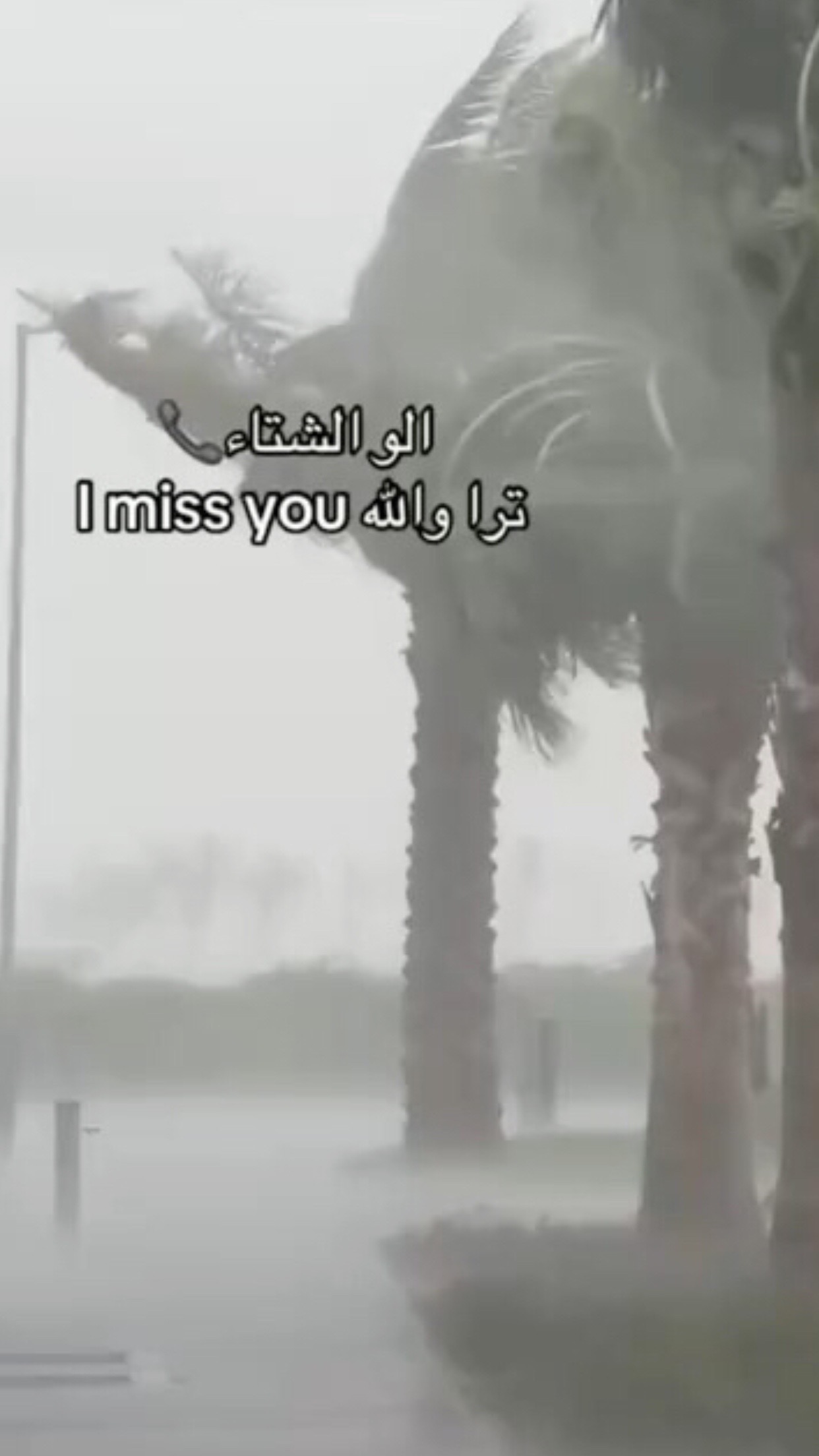 @أَحَّلاَمٓ|❤️