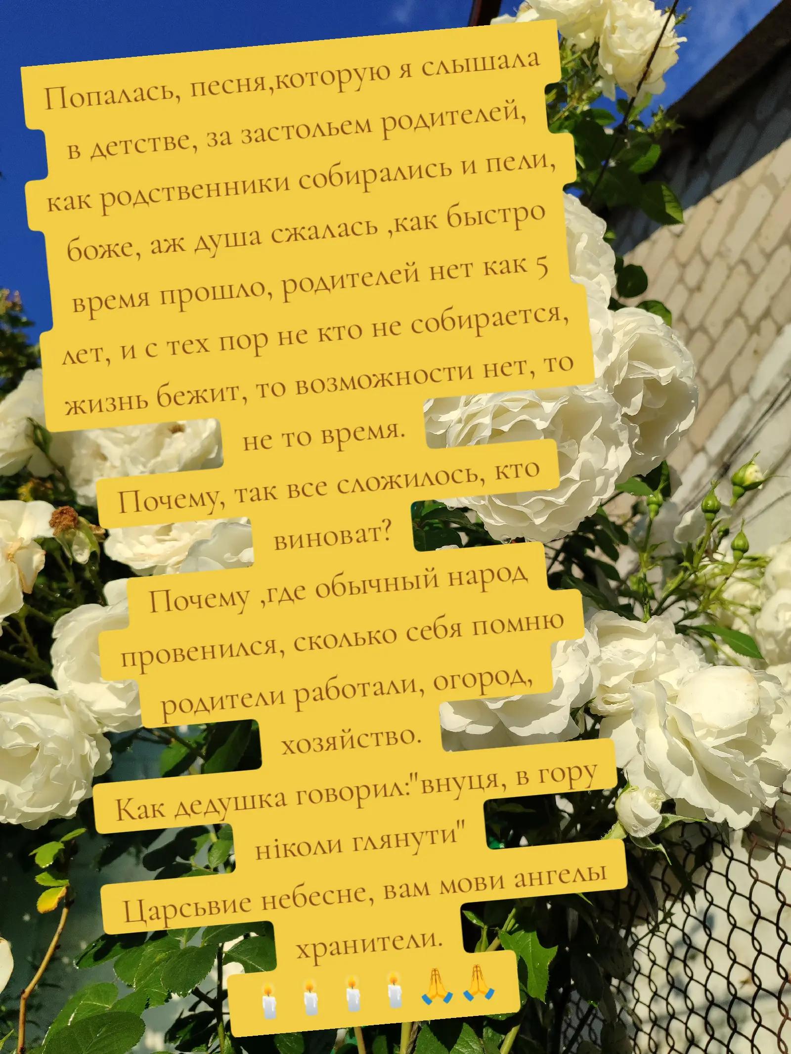 @💫Мила-я💫
