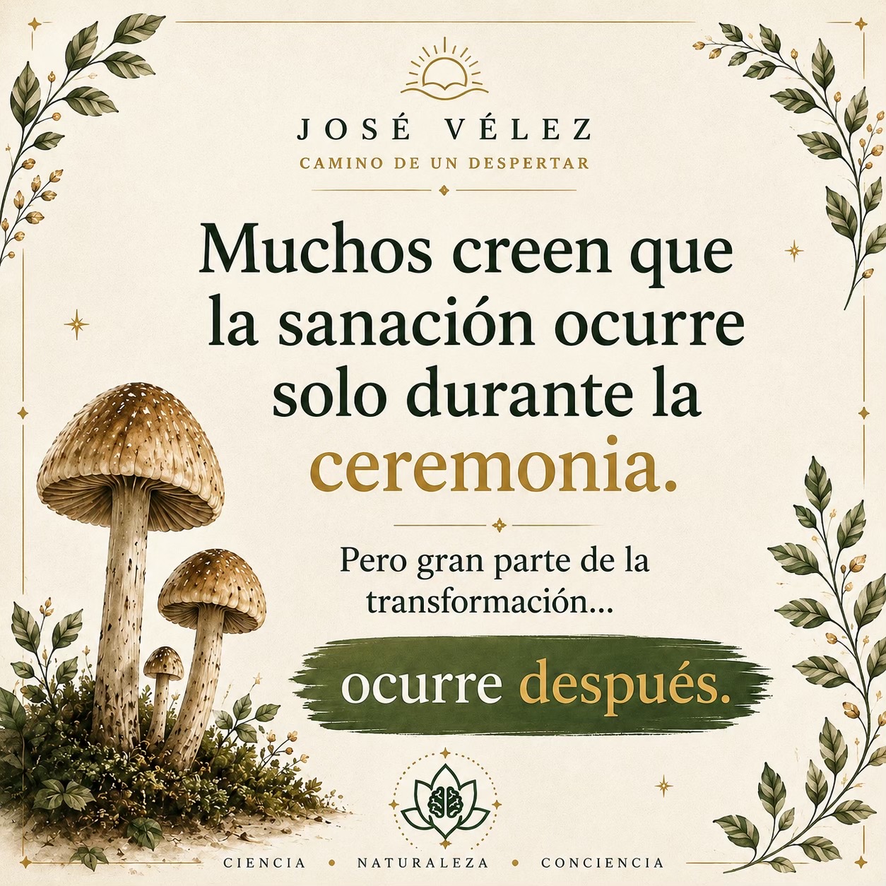 @José Vélez