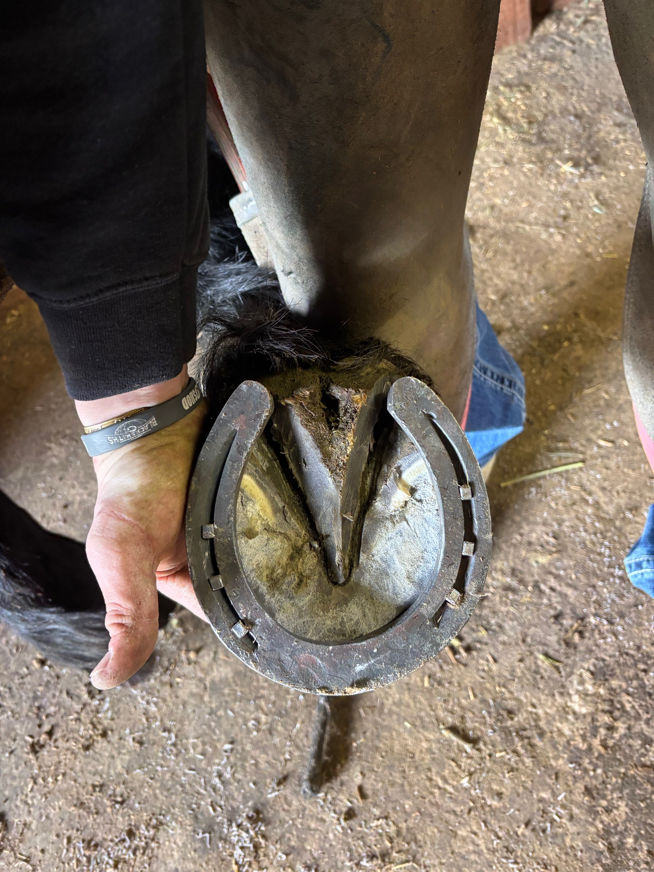 @bar_diamond_farrier