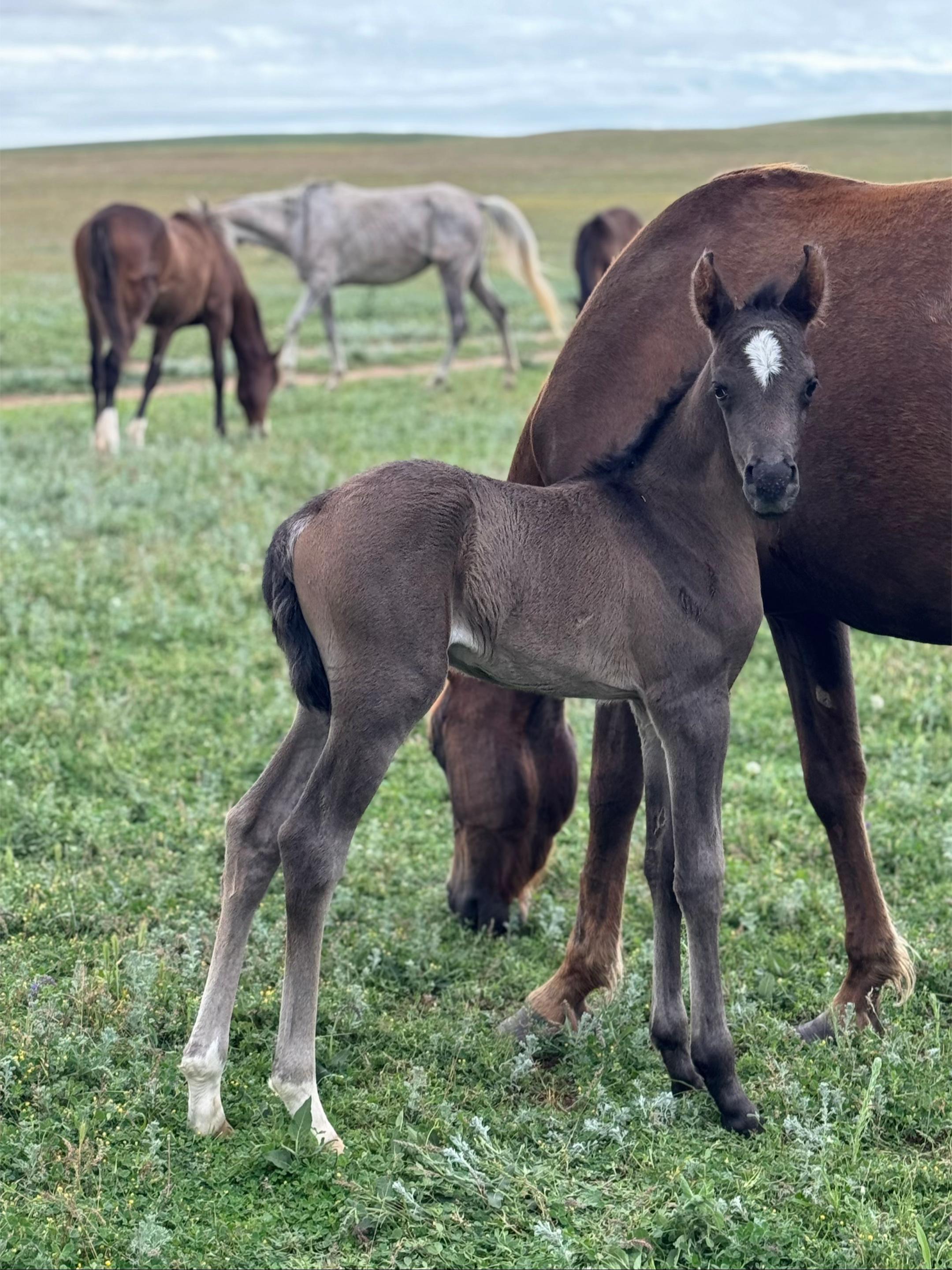 @MakvinStud