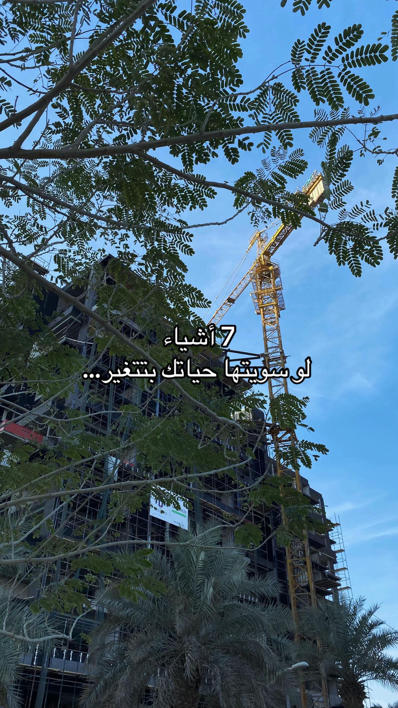 @محمد ال ريس 🏋🏻