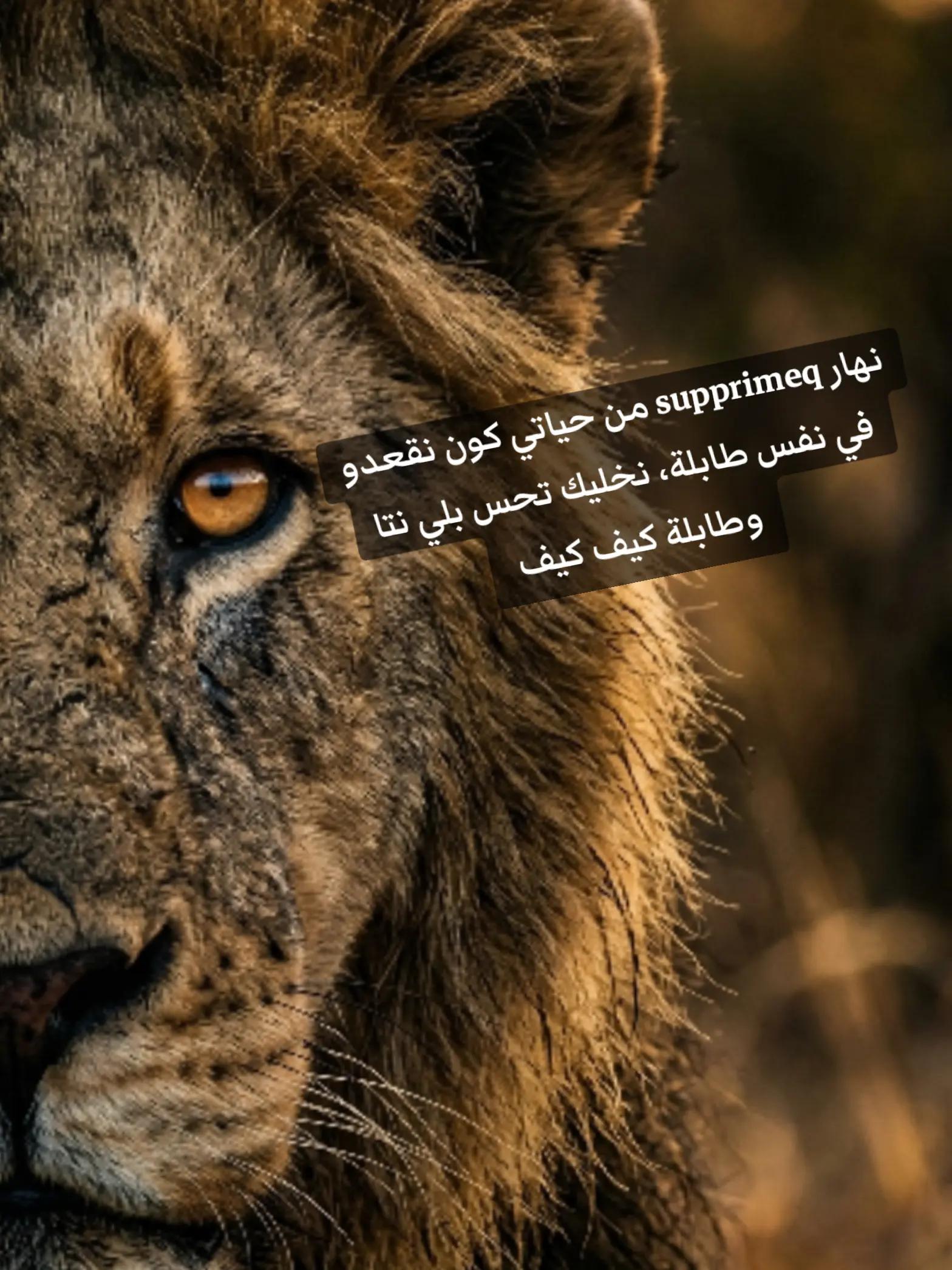 @الباشا   🚬
