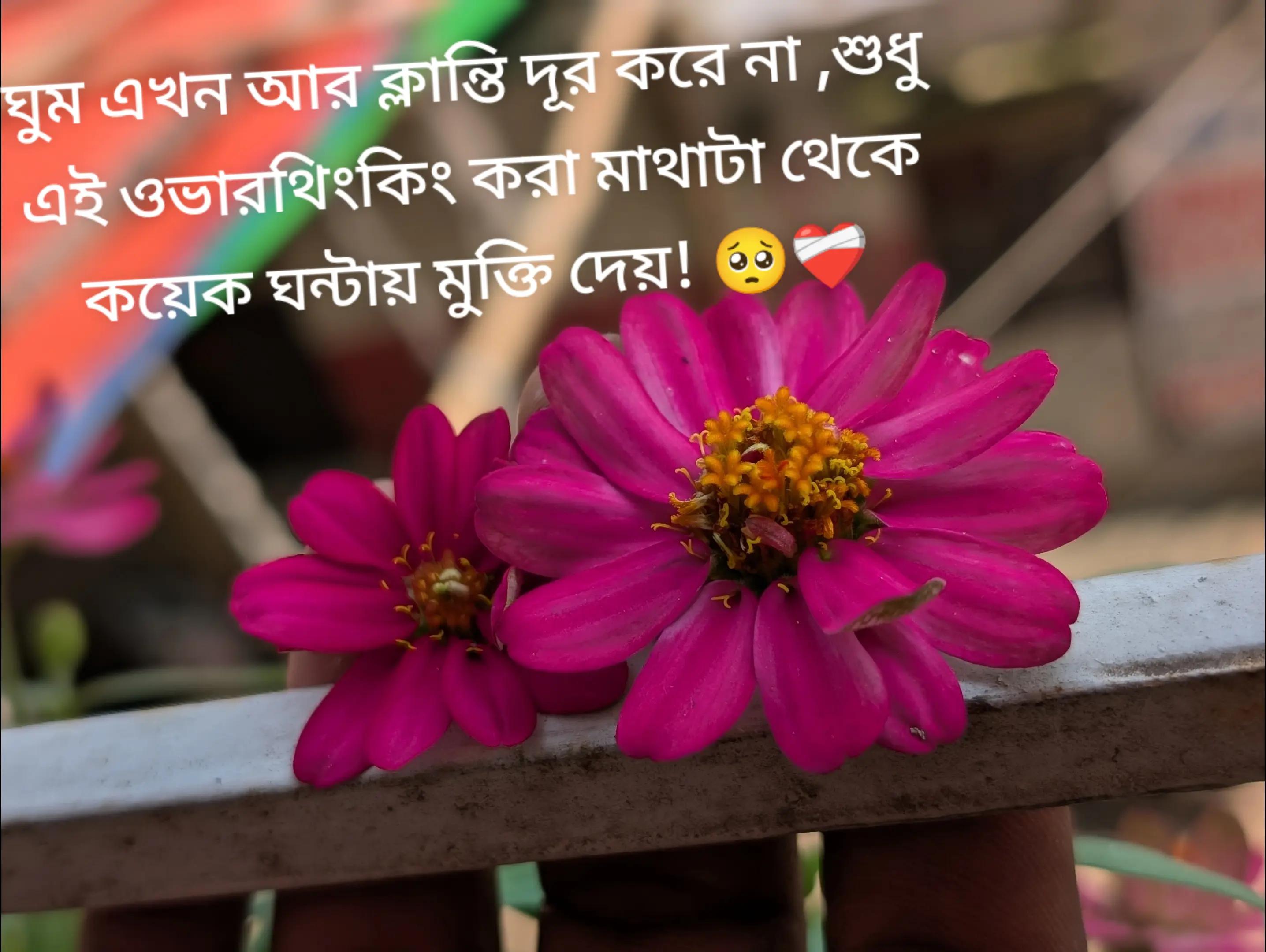 @Nafisa