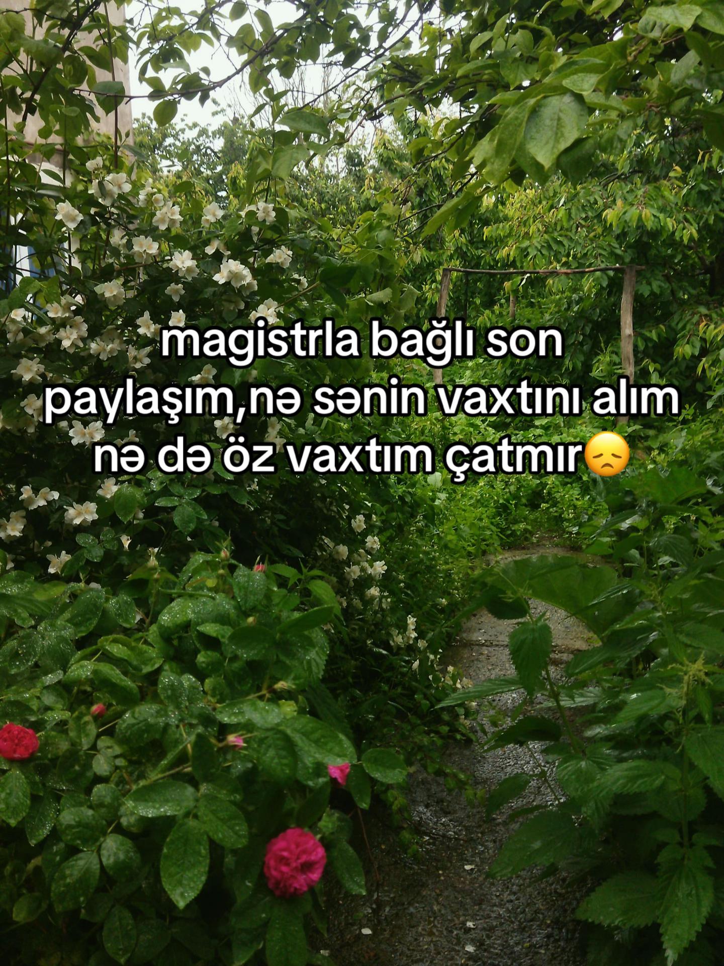 @reklamsehifesii