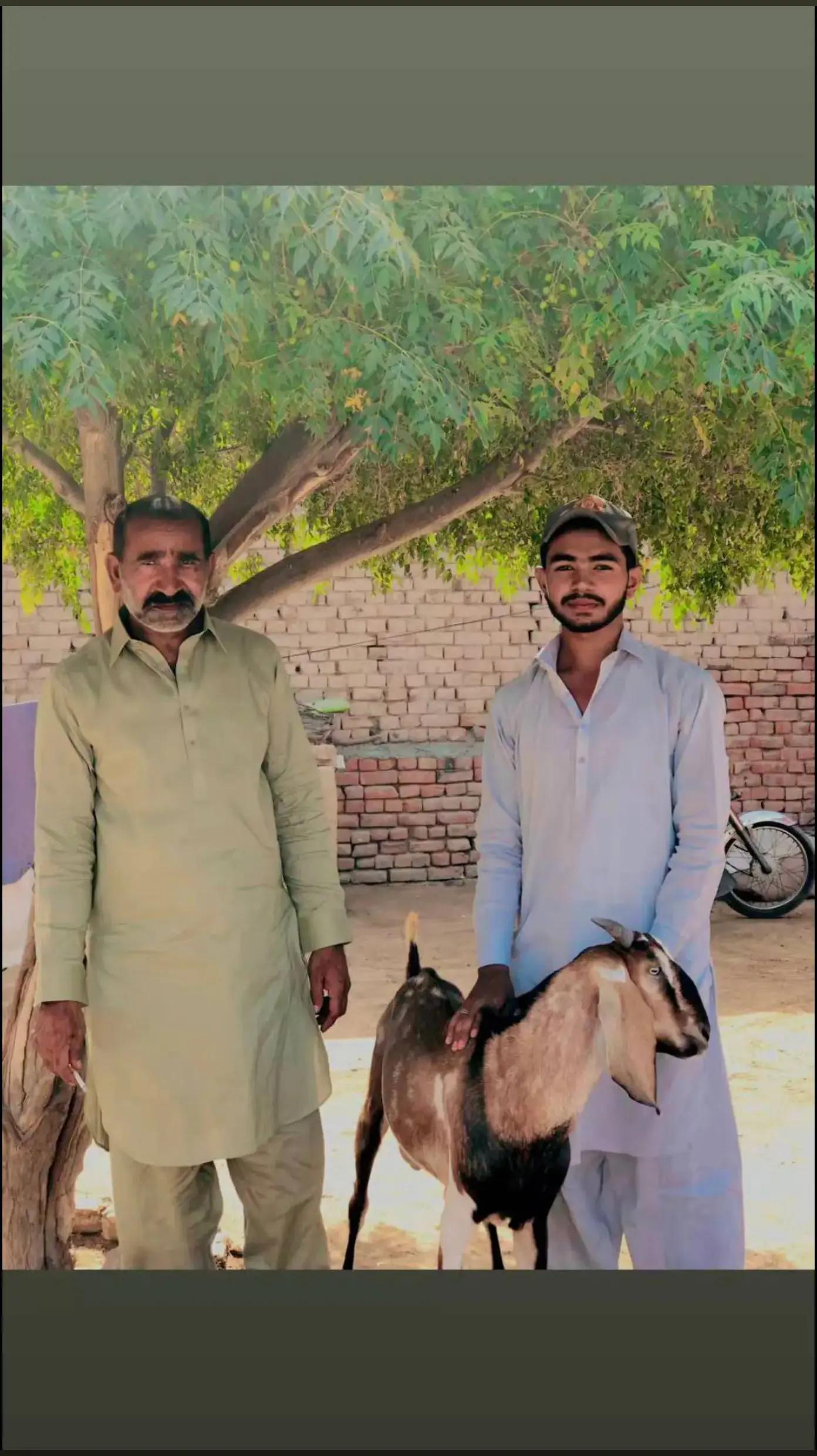 @حسنین♛