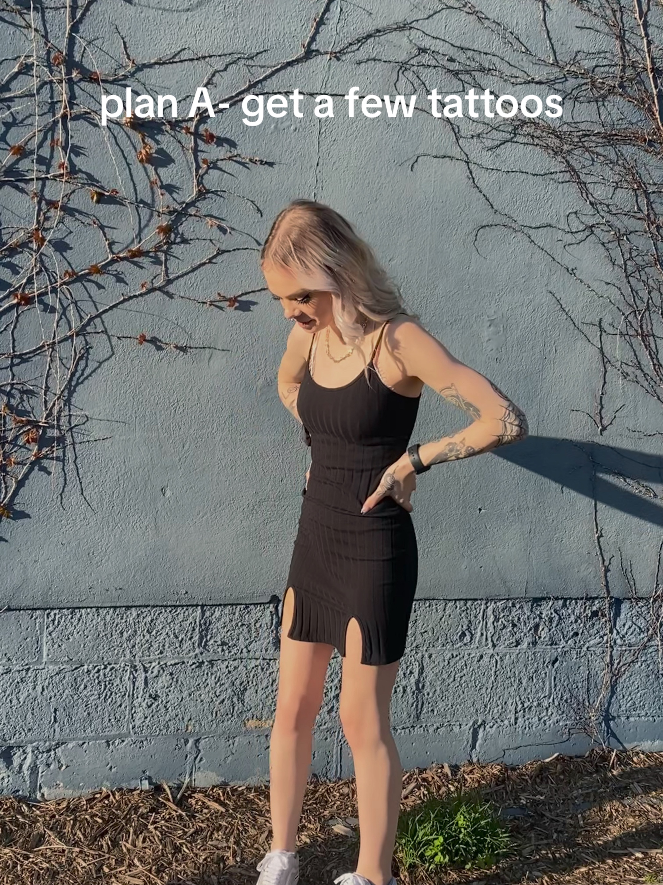 @mogmully