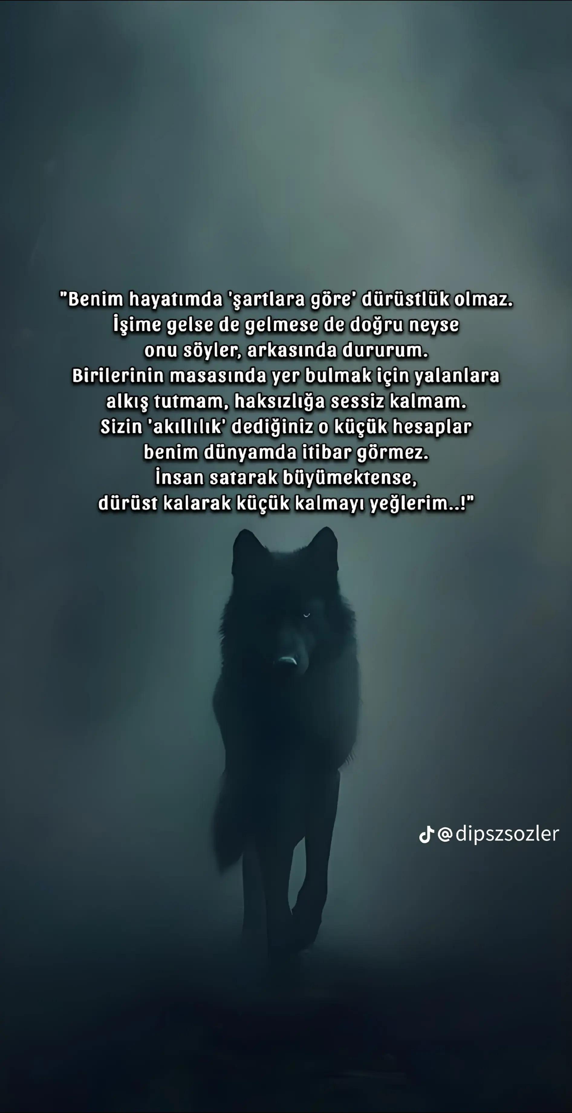 @Mesude Syr