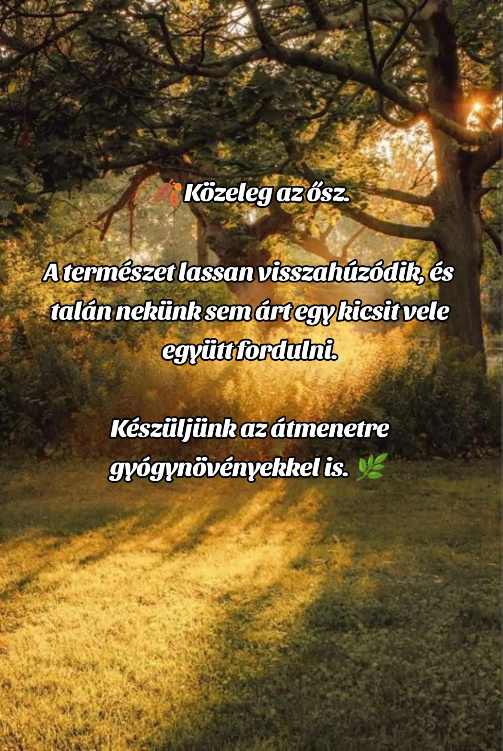 @✨𝓥𝓮𝓻𝓲𝓽𝓪 𝓓𝓸. ✨🪄