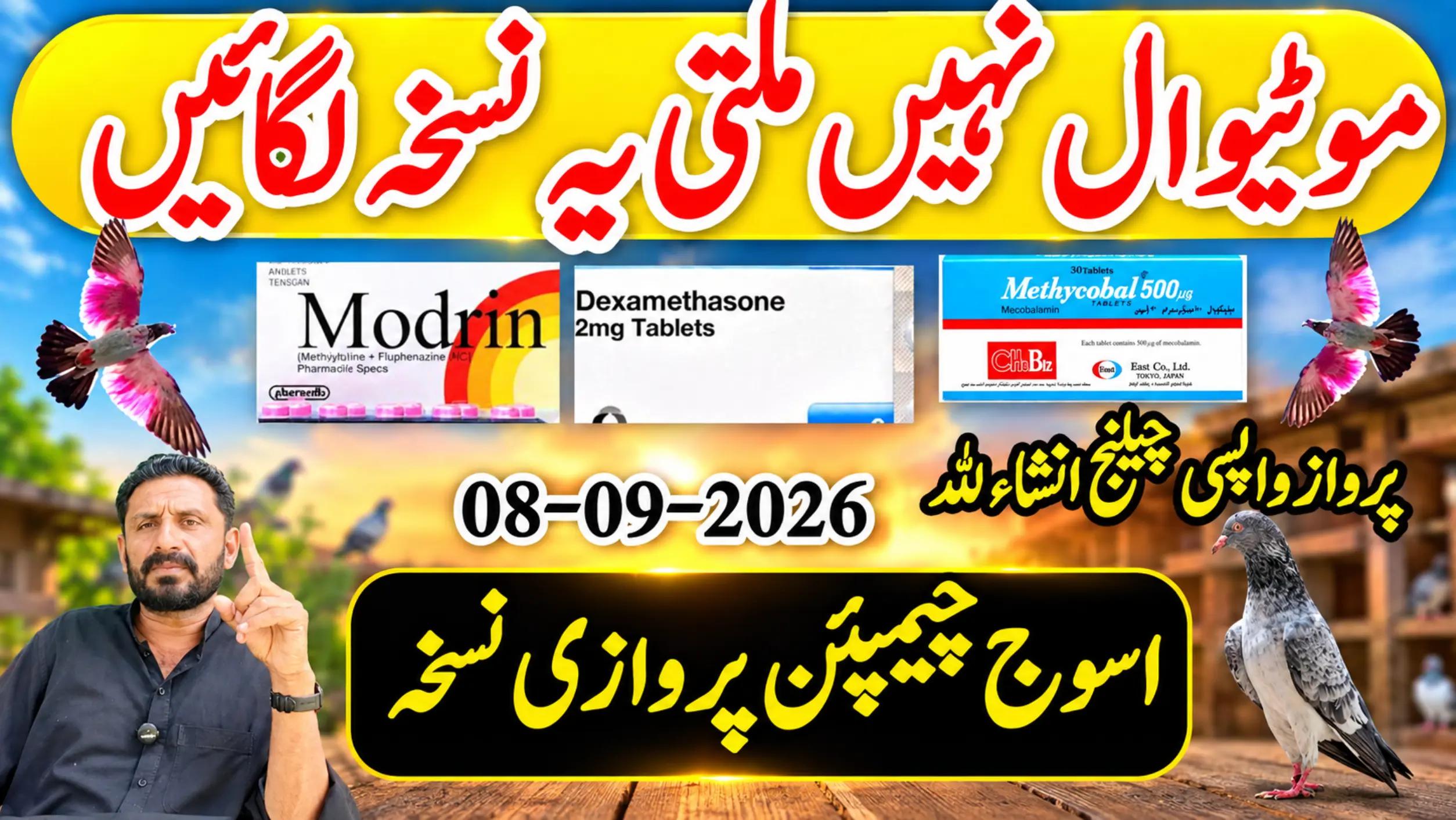 @KABOOTAR PARWAR VLOG