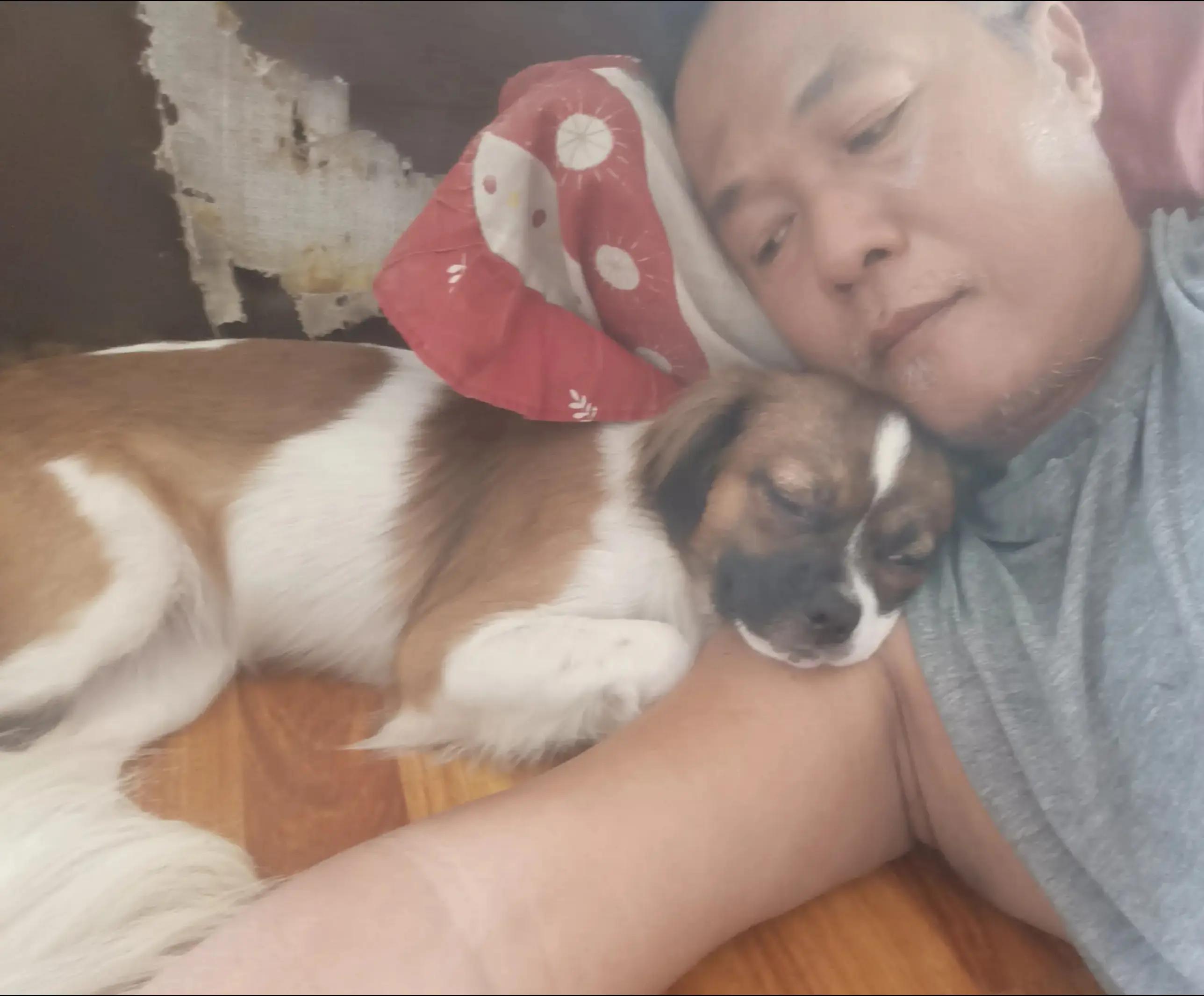 @Gu `s Pa Pa