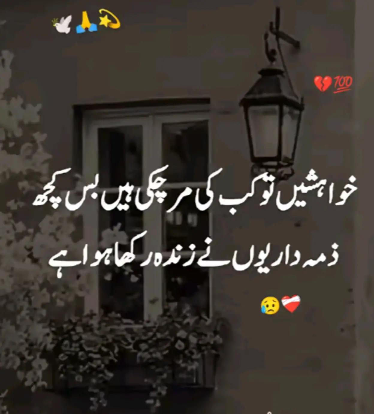 @Syed Fazal hashmi 🇵🇰 🇶🇦