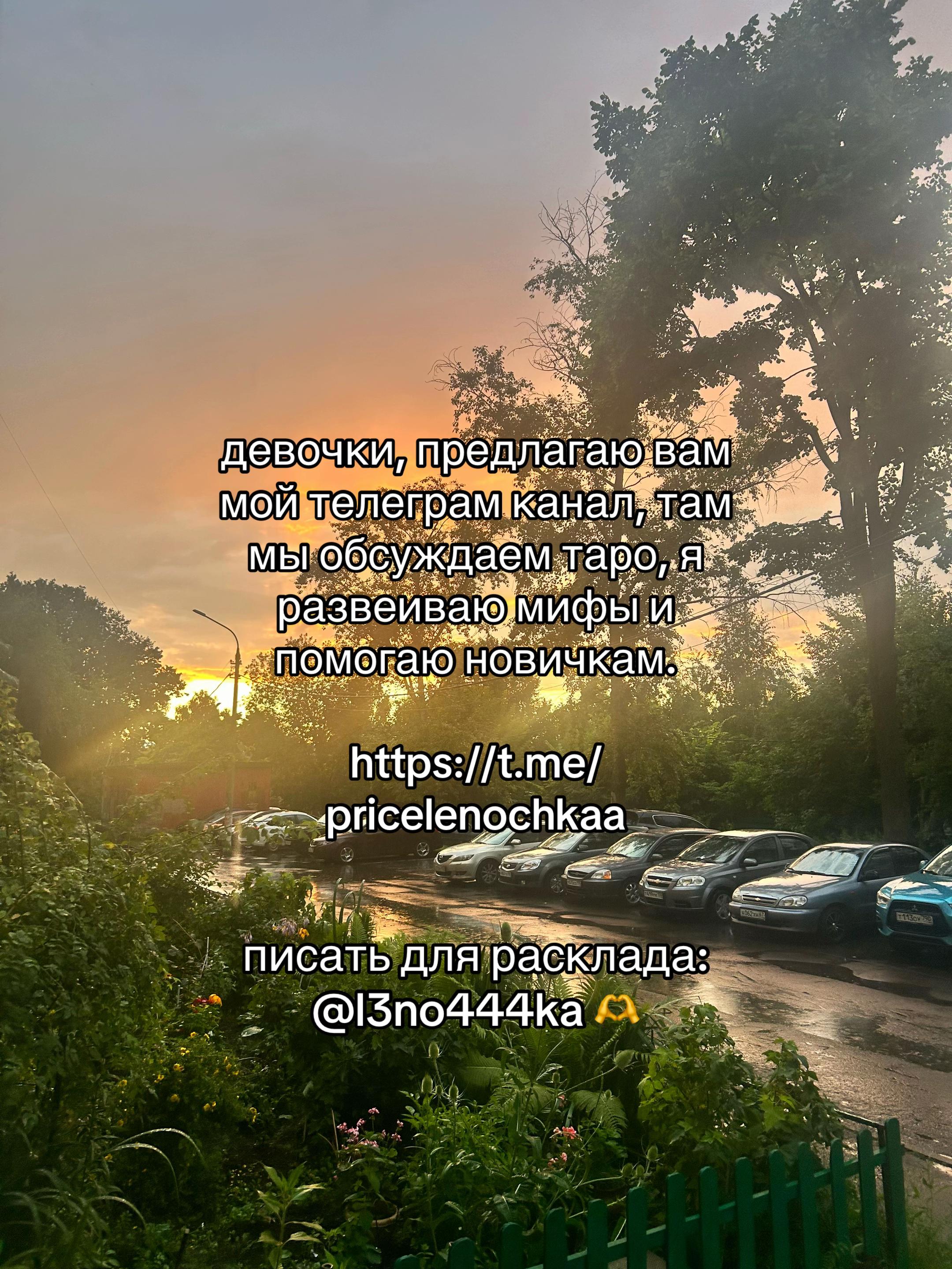 @твой таролог 🫶