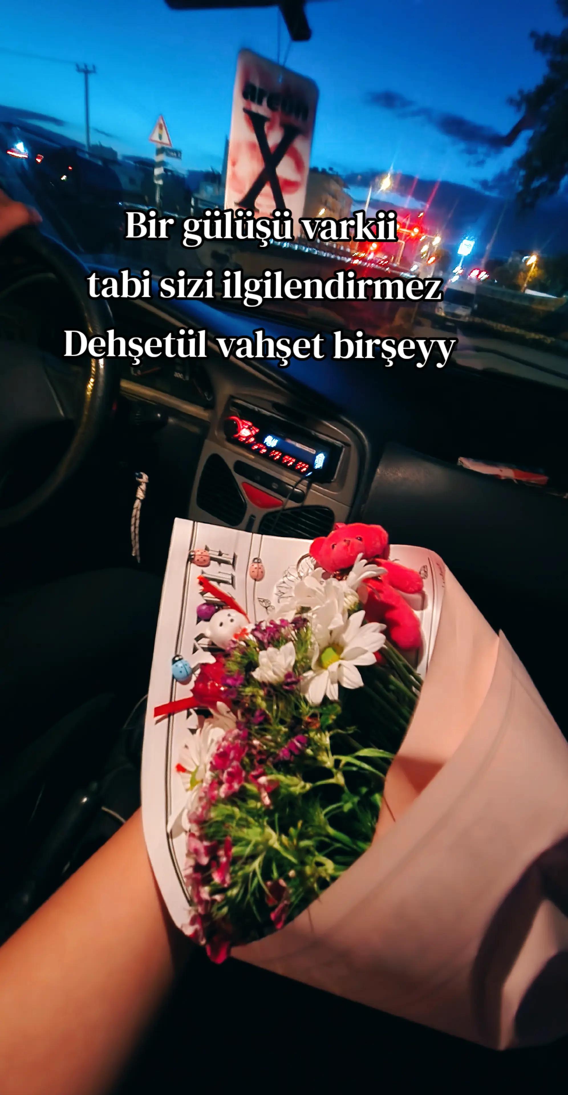 @ĸιмвυaleyna🐆