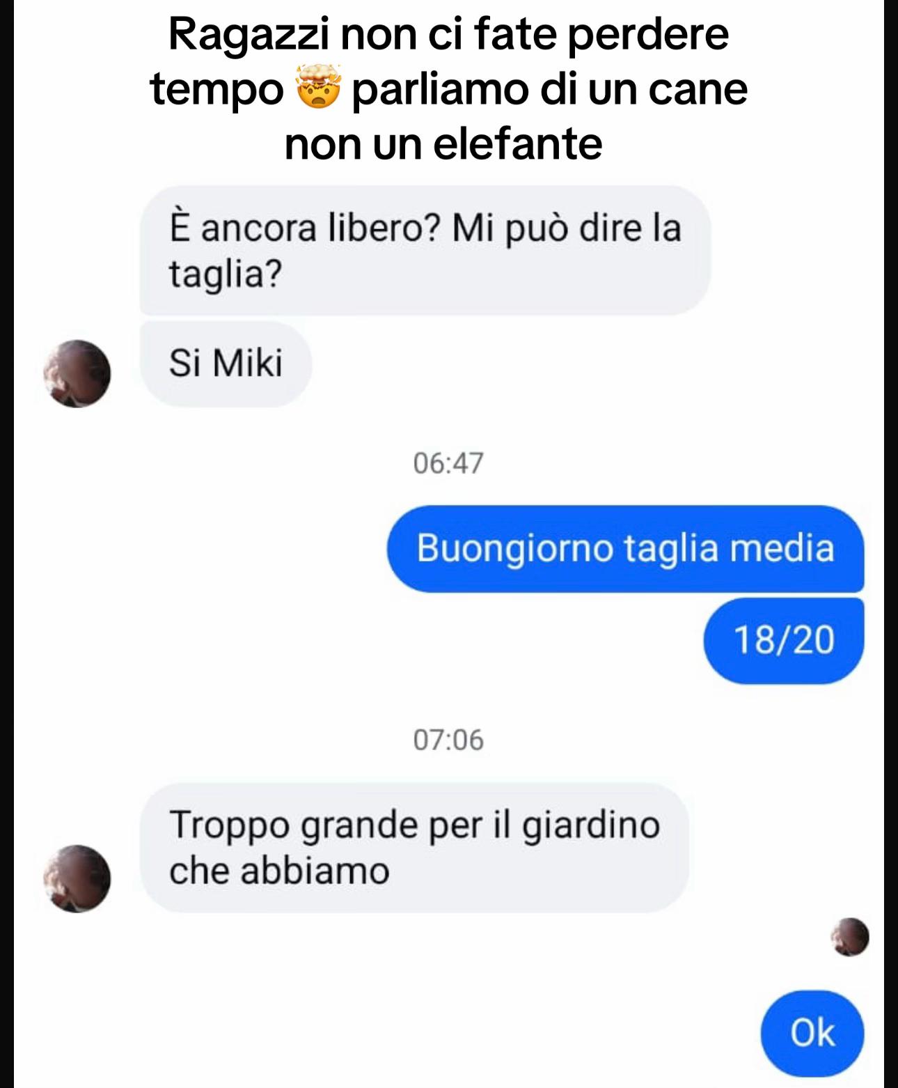 @I randagi di nessuno