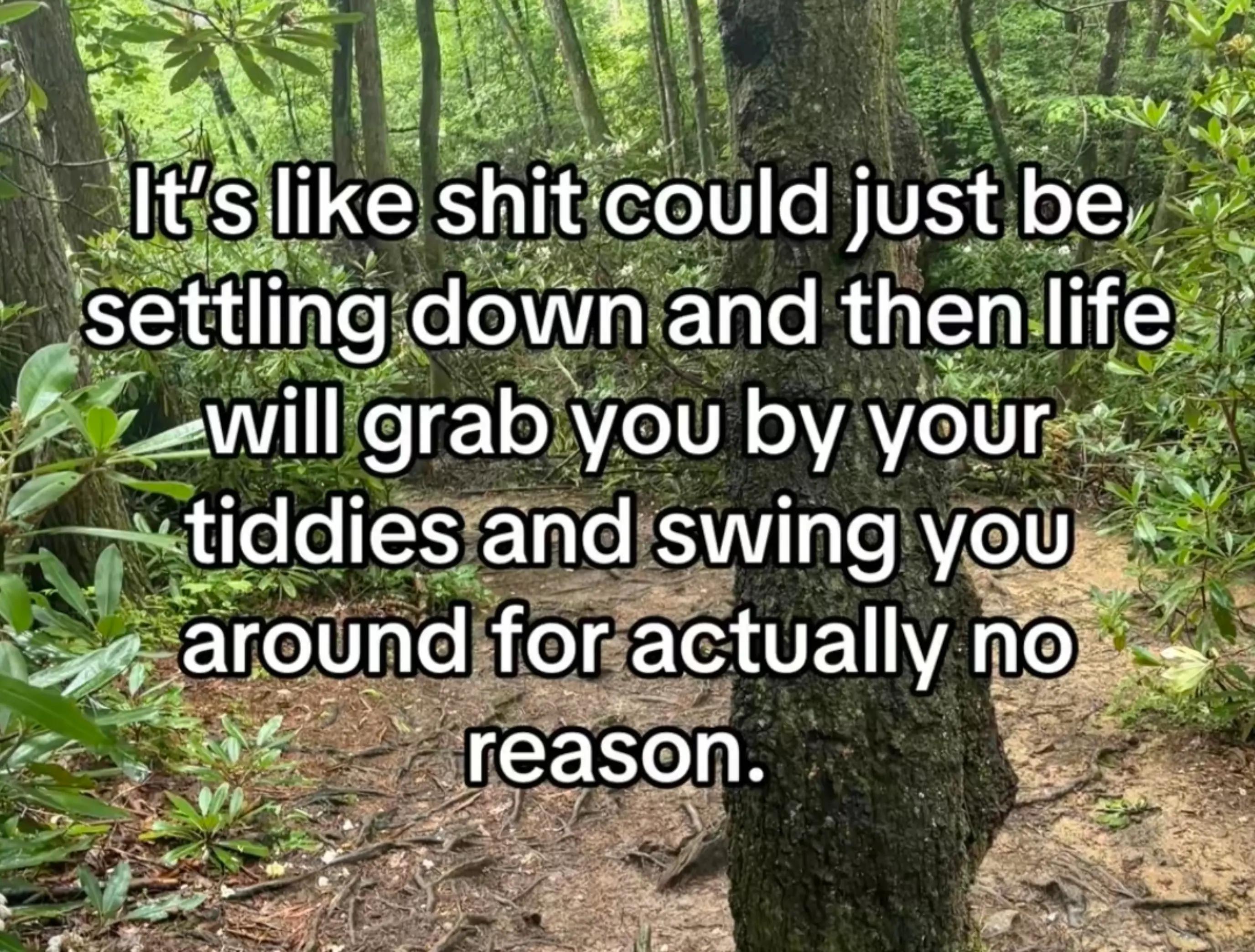 @Samantha Boccabello