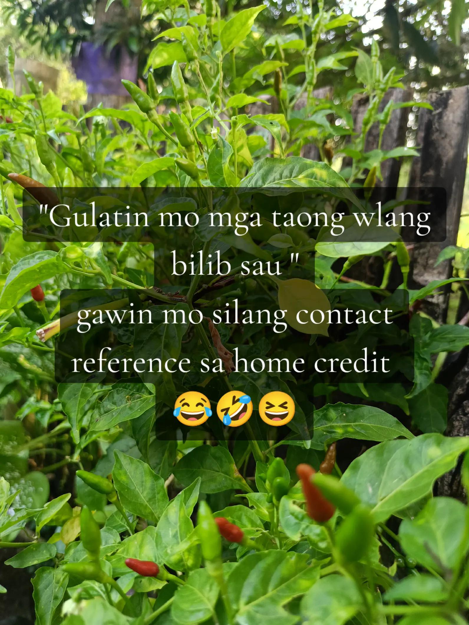 @zhang❤️
