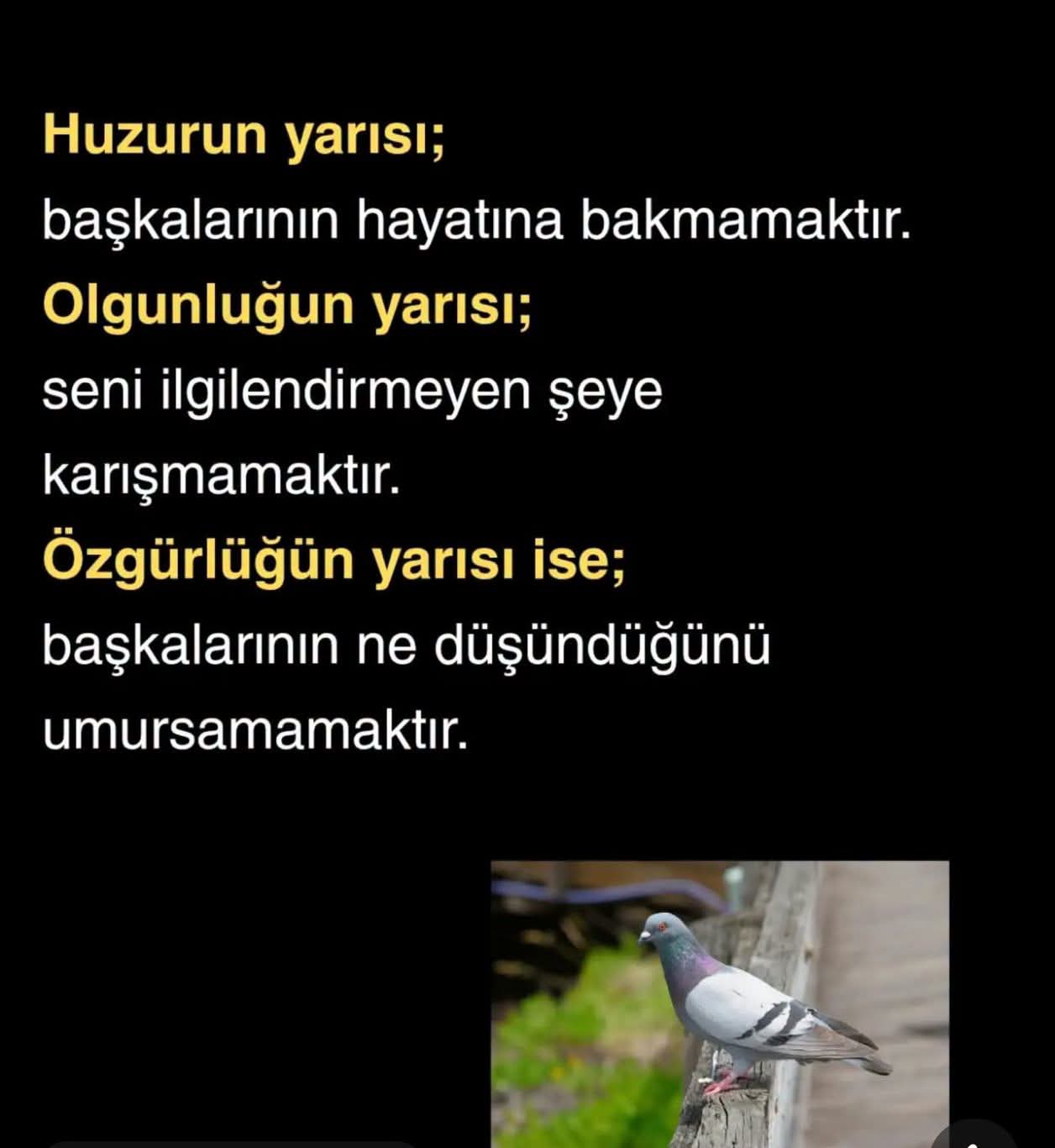 @Gürbüz Coşkun