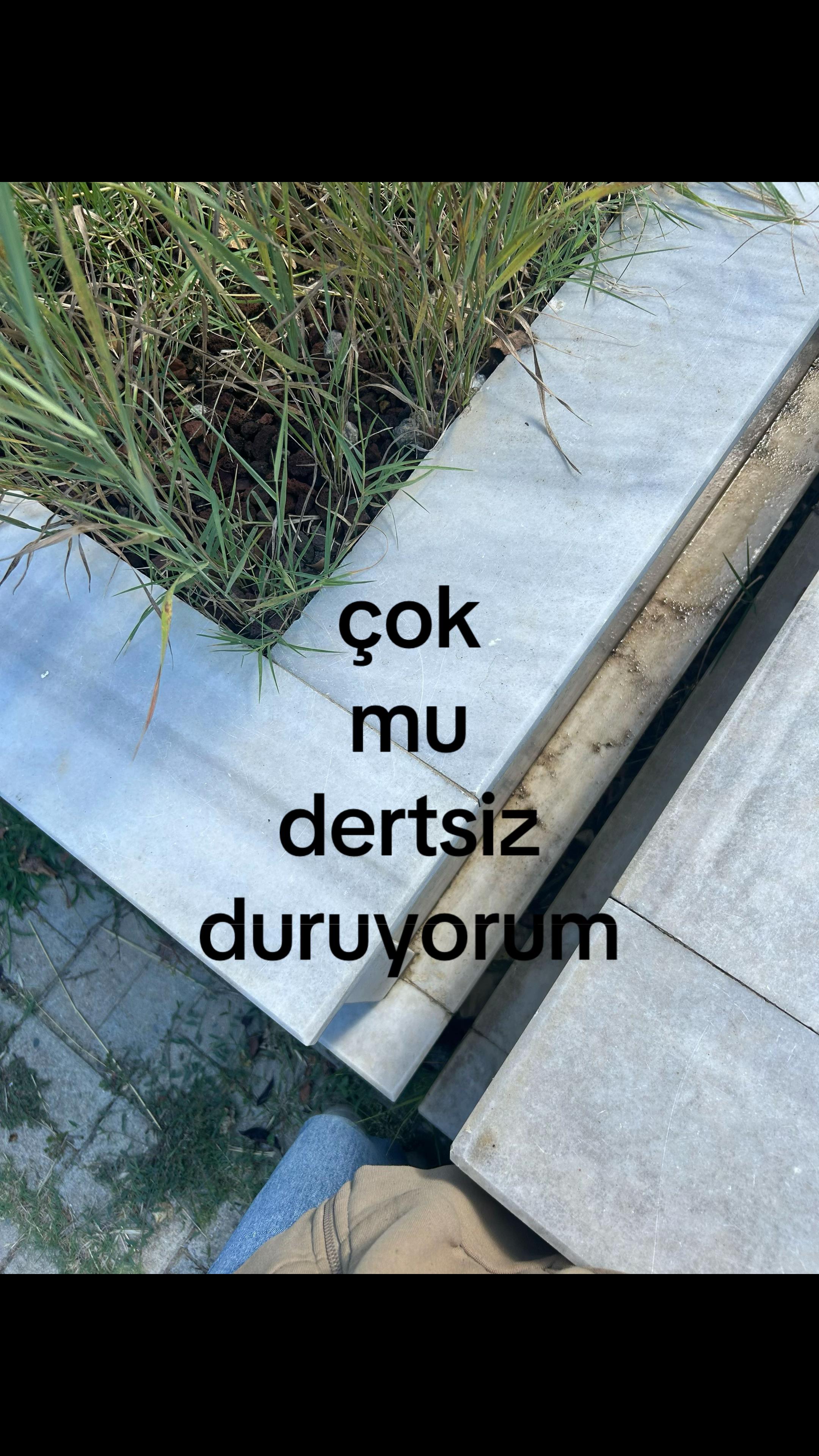@ortalik56