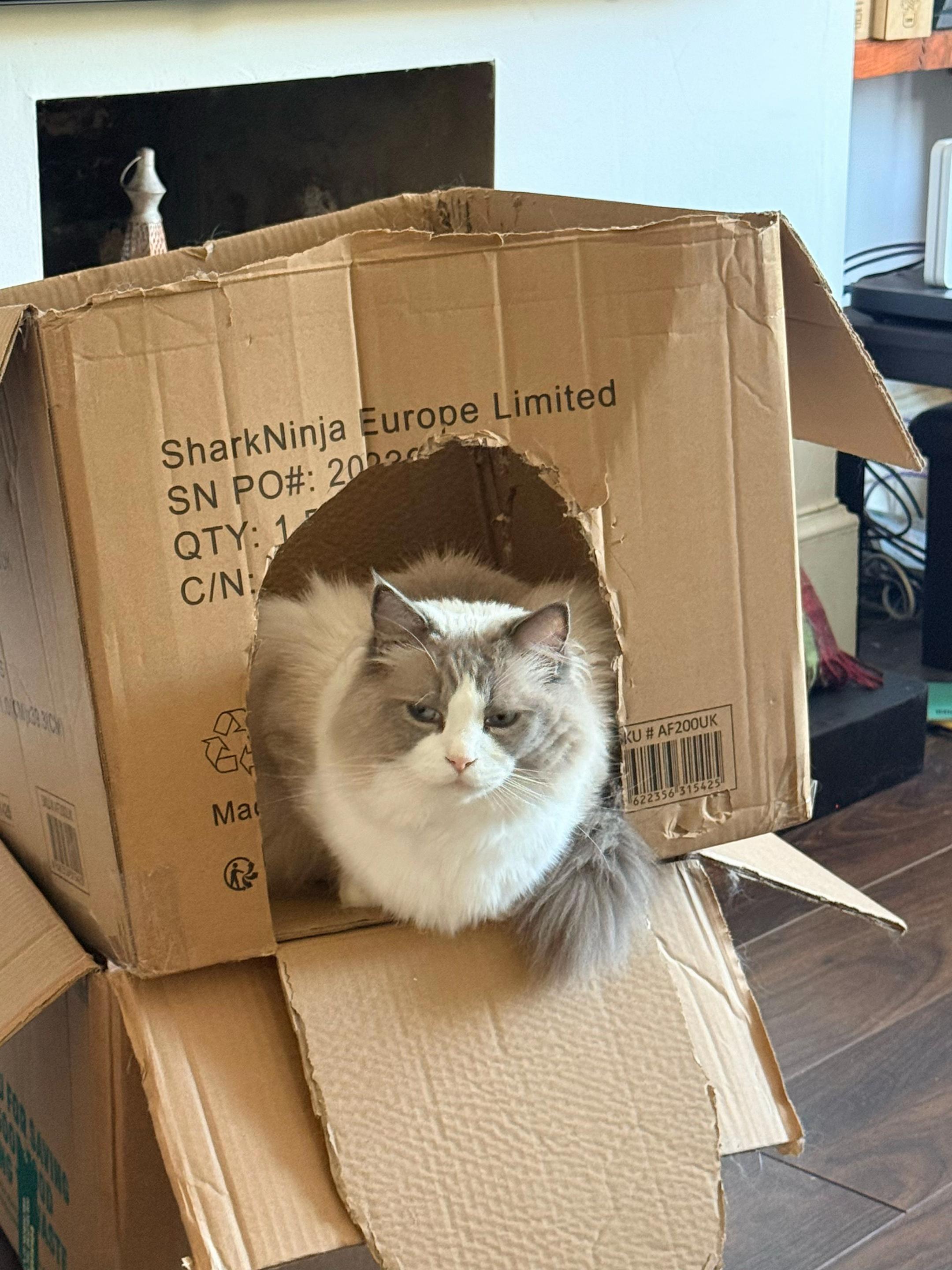 @rollmodel