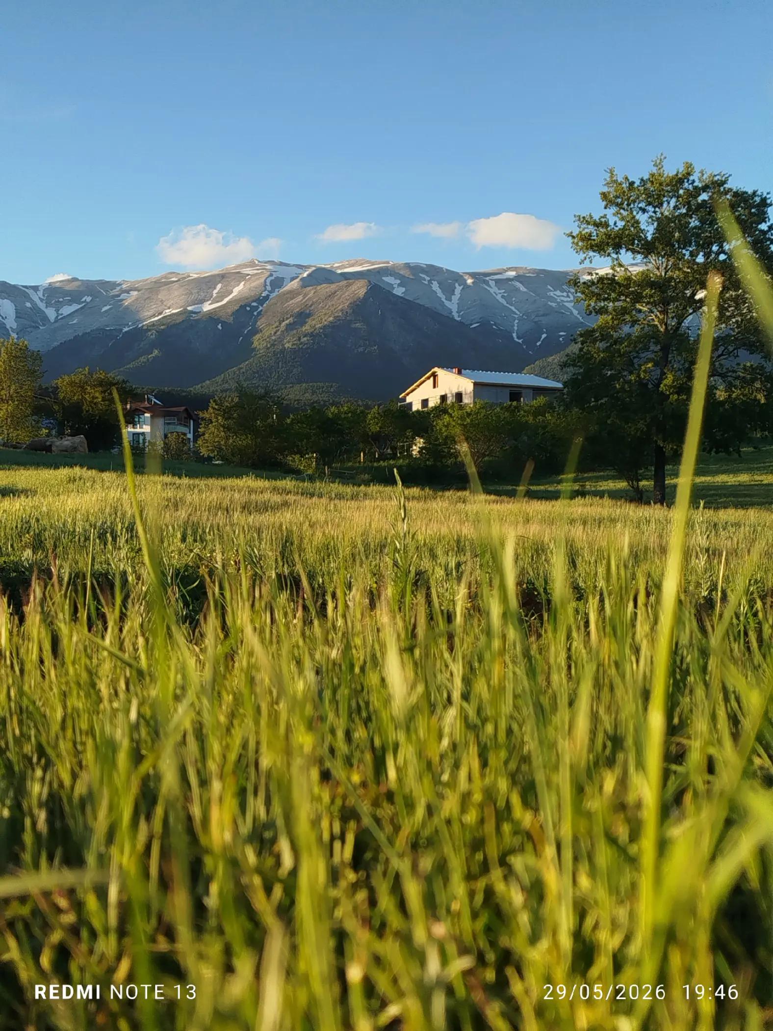 @bozkurt