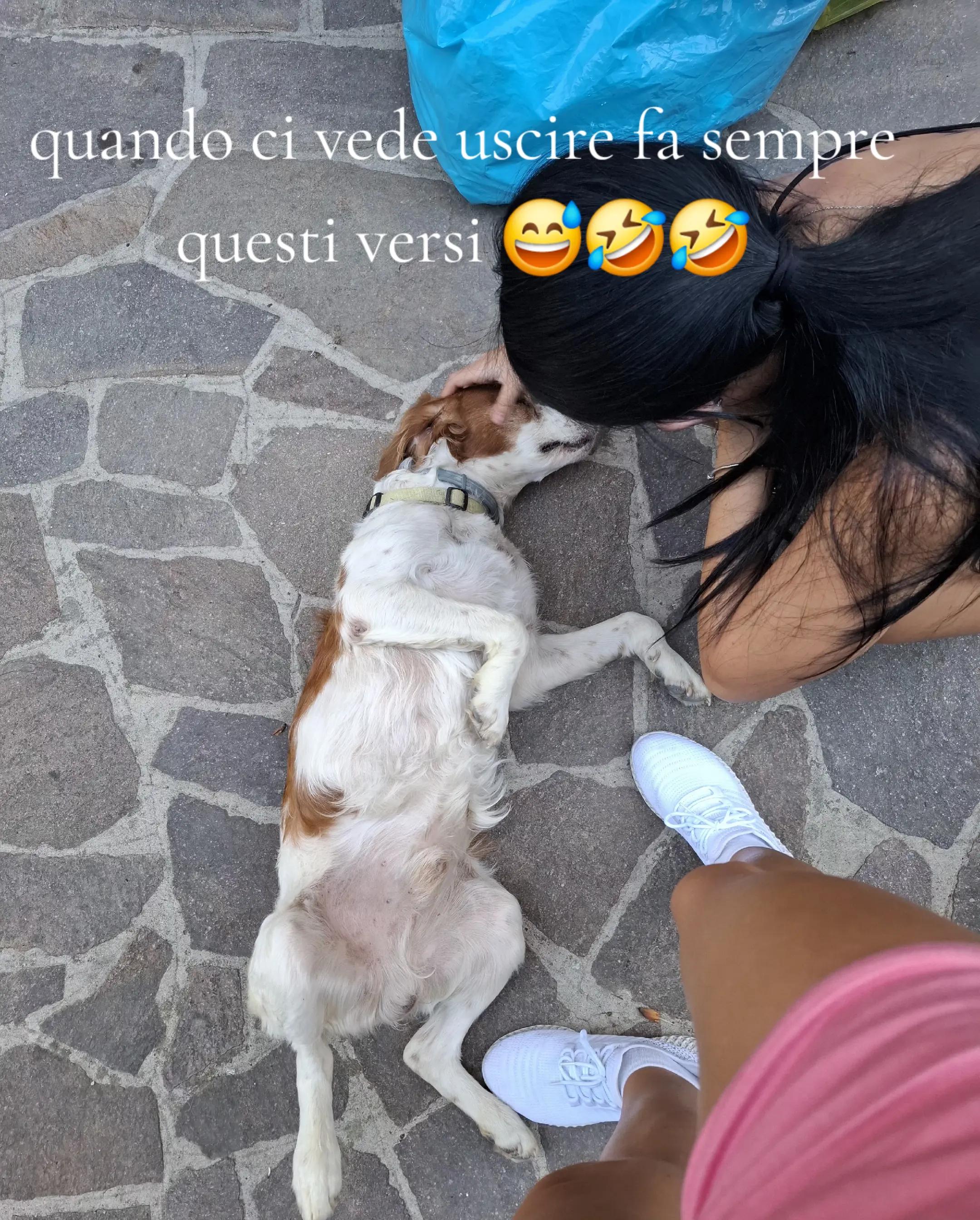@❤️ Dana oficial💚