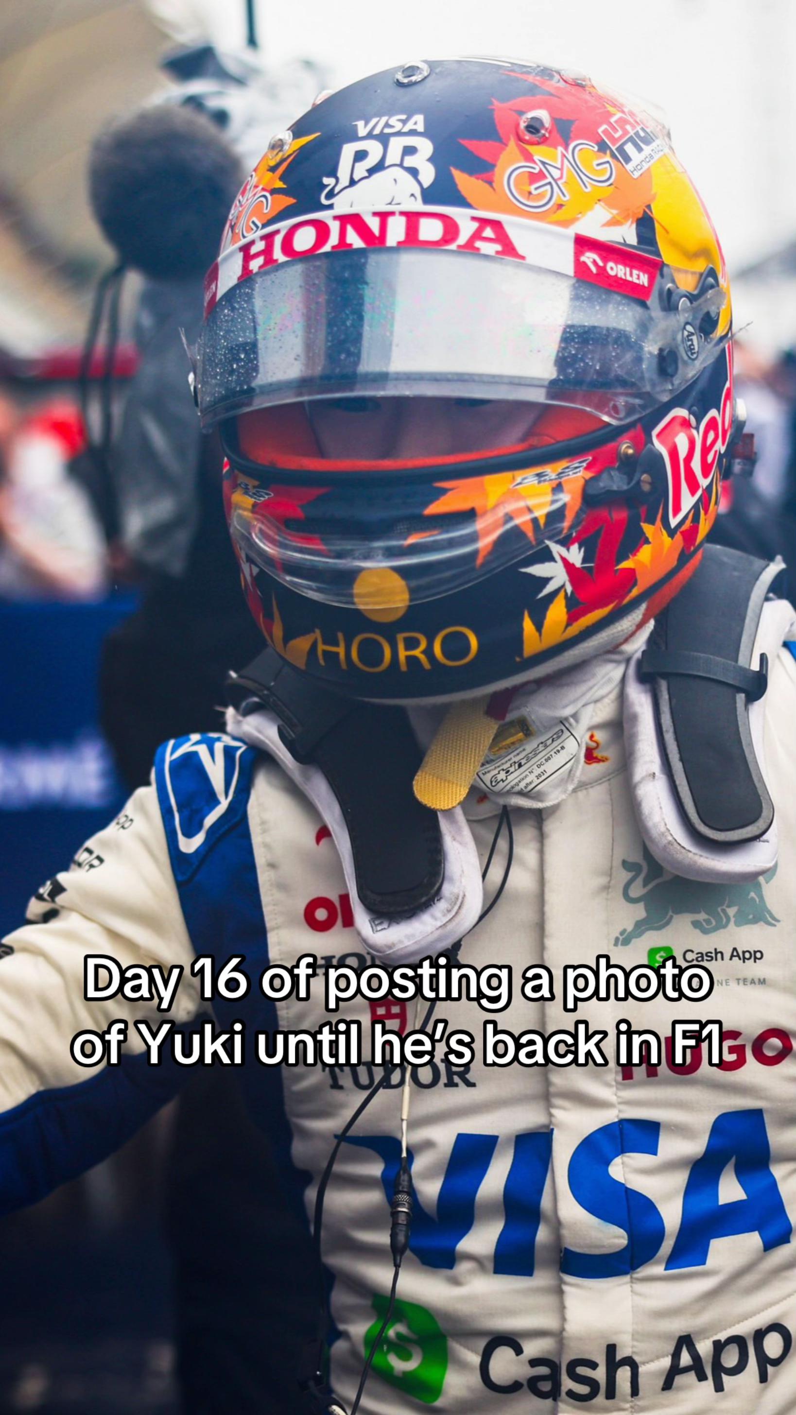 @F1 Bull Ology