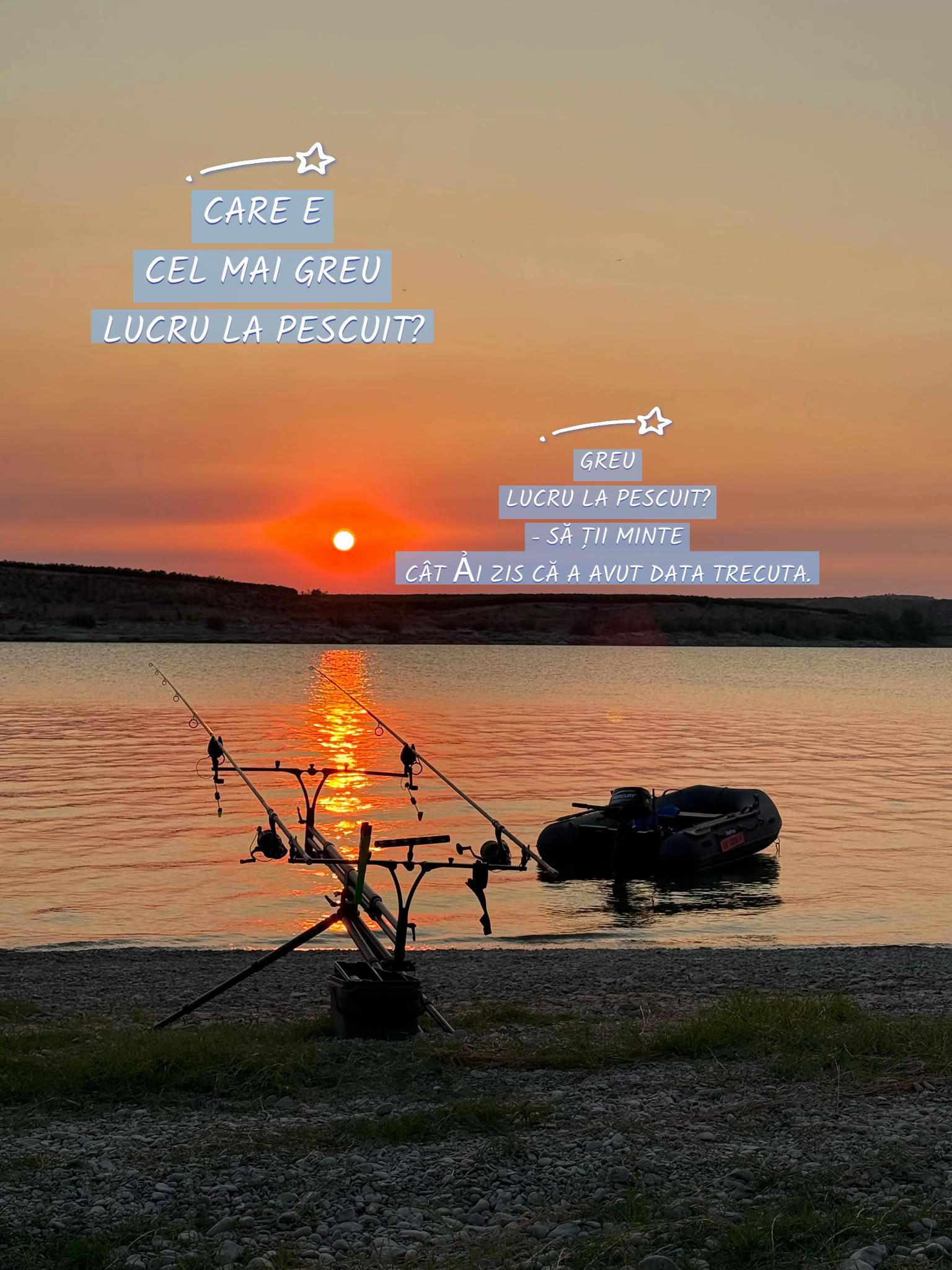 @Royal carp 🐟🐟🤩💪