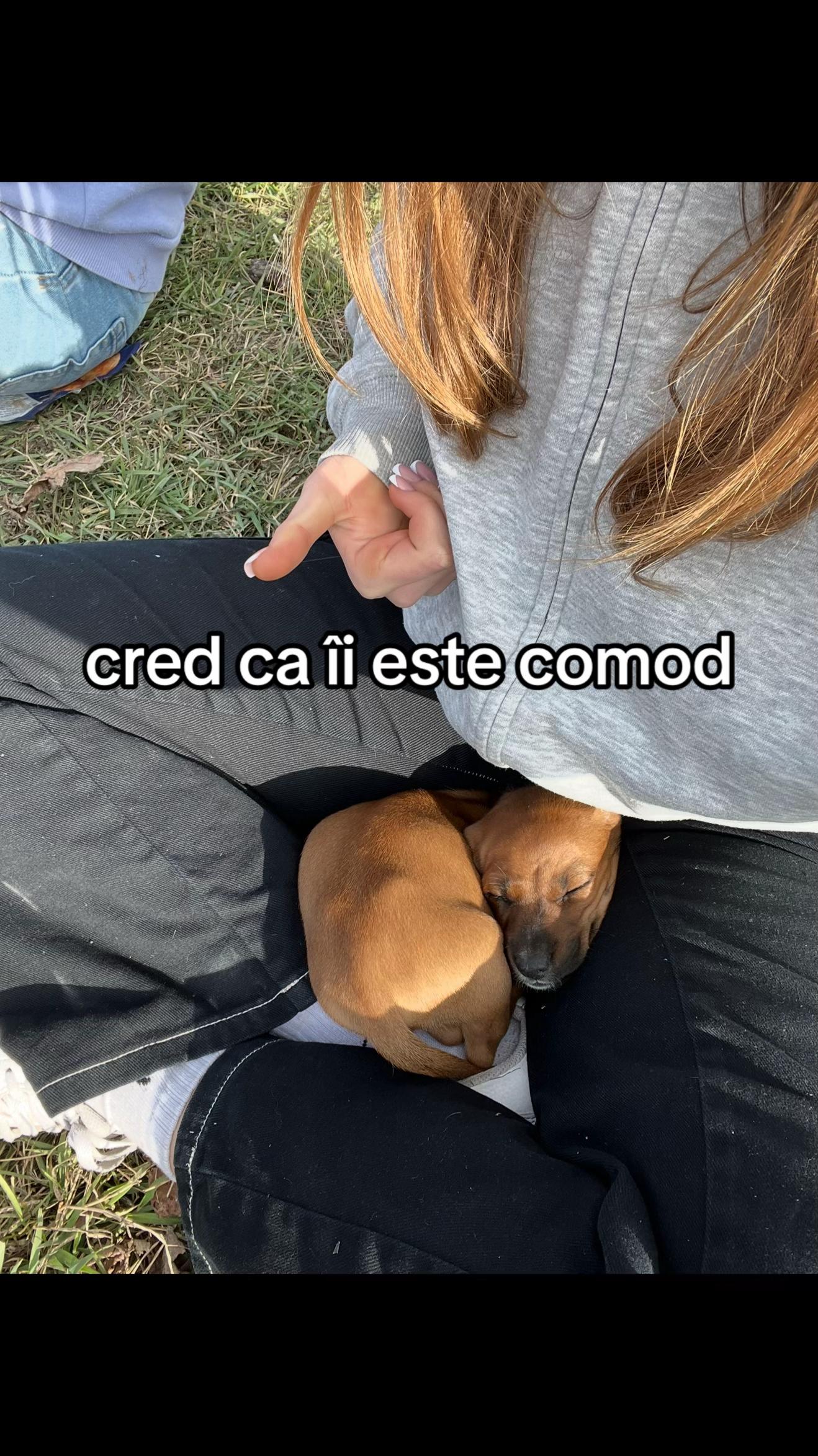 @nela