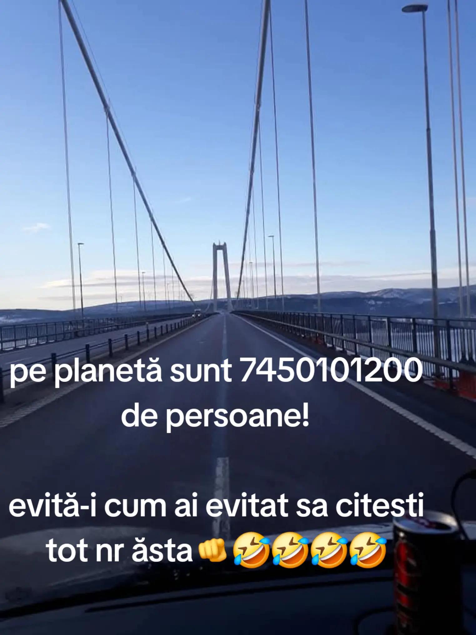 @DarioMario