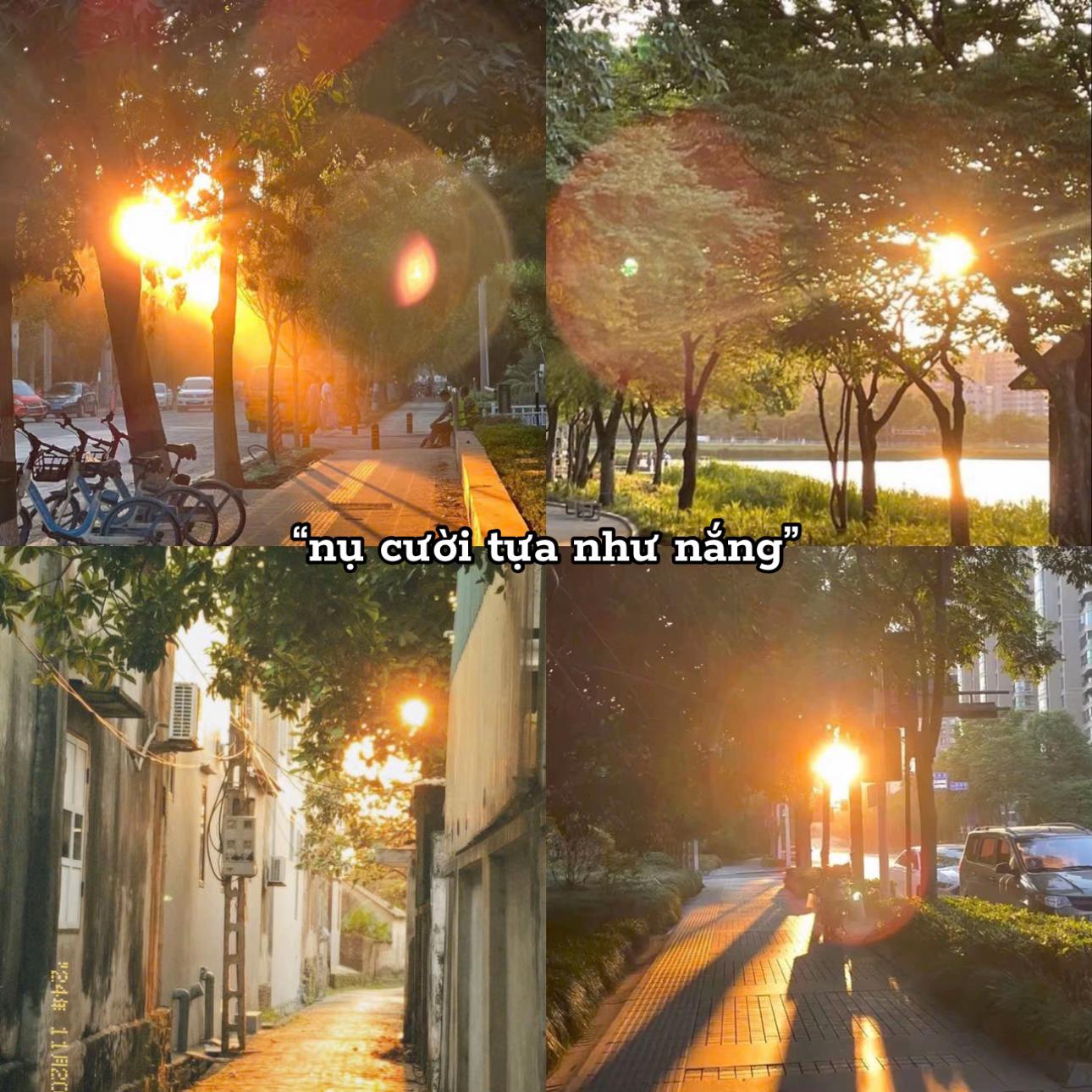 @⋆.𐙚 ̊.ᴊᴇᴍ.🐰ྀི